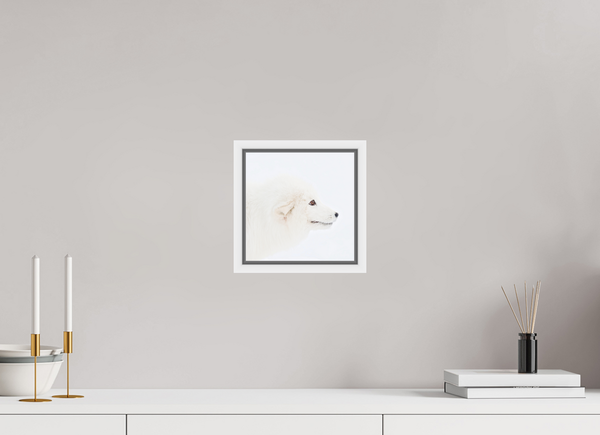 20 x 20 cm, Floater Frame White Glossy Acrylic Glass Arctic Fox Head - Floater Frame