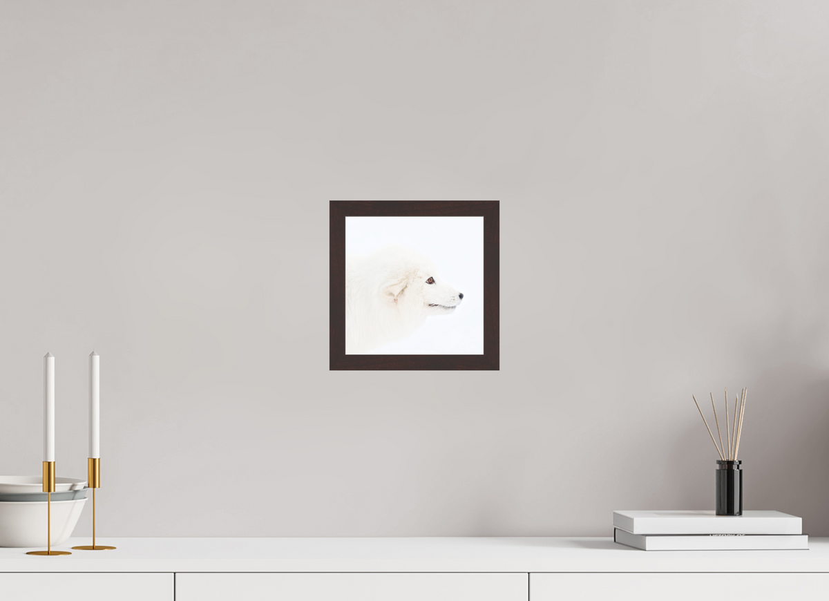 20 x 20 cm, Gallery Frame Hamburg 20mm Alder Brown Matte Acrylic Arctic Fox Head - In Gallery Frame Hamburg 20 mm