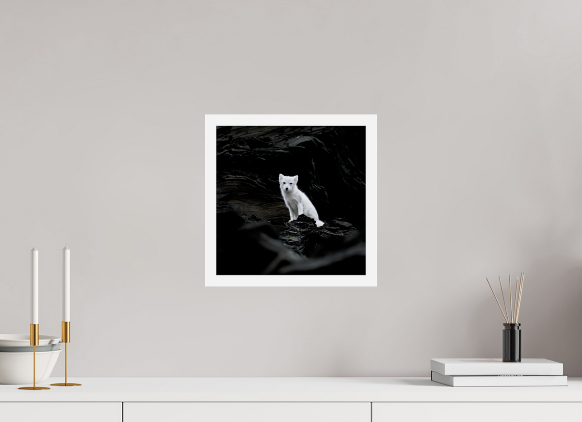 30 x 30 cm, Gallery Frame Hamburg 20mm White Glossy Acrylic Arctic Fox Angel - In Solid 20 mm Wood Frame Hamburg Glossy