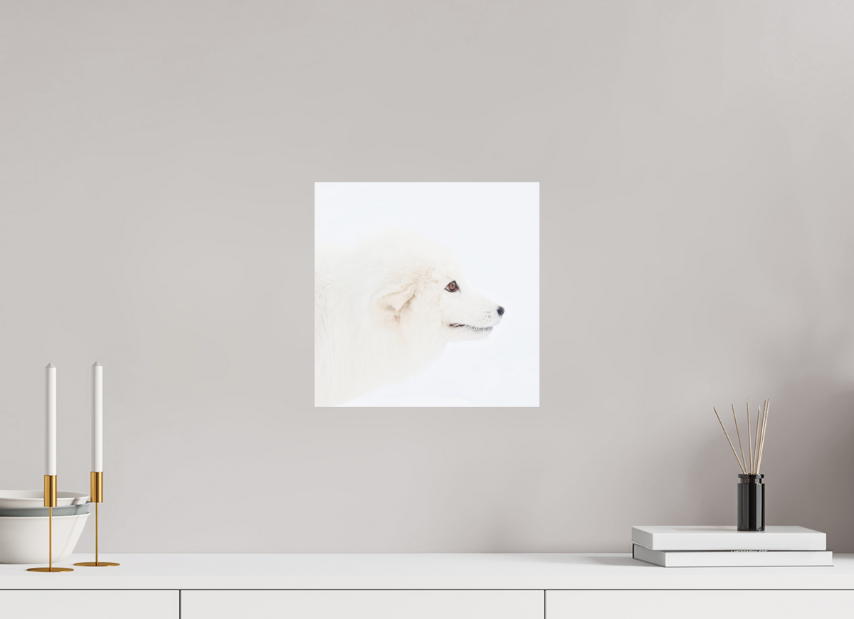 30 x 30 cm, Photo Print On Fuji Crystal DP II Arctic Fox Head - Photo Print