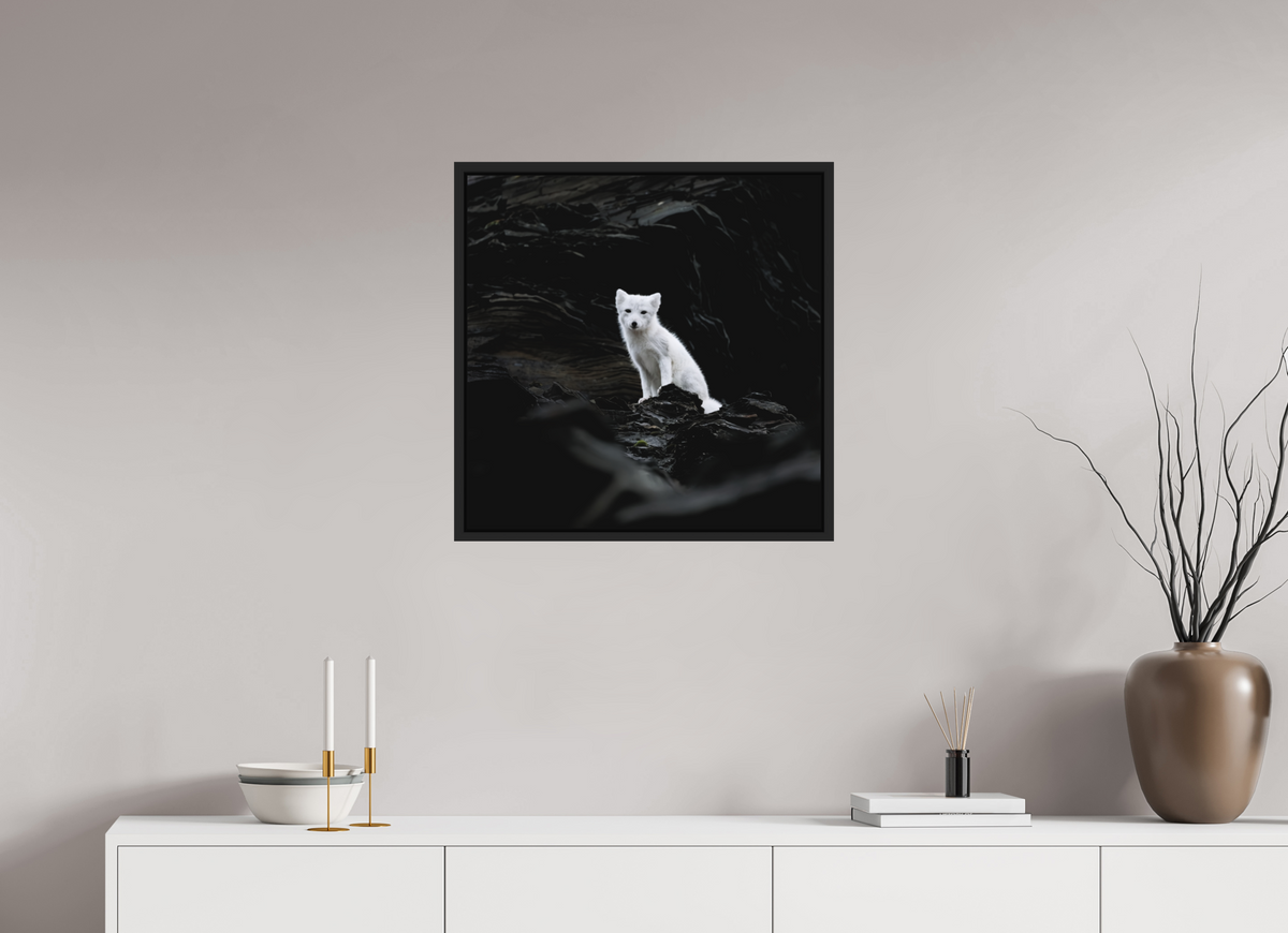 60 x 60 cm, Floater Frame Matte Black Matte Acrylic Glass Arctic Fox Angel - Floater Frame Matte