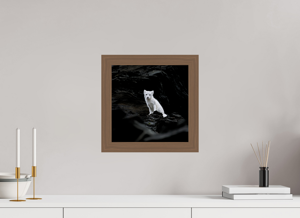 30 x 30 cm, Gallery Frame Hamburg 40mm Walnut Glossy Acrylic Arctic Fox Angel - In Solid 40 mm Wood Frame Hamburg Glossy