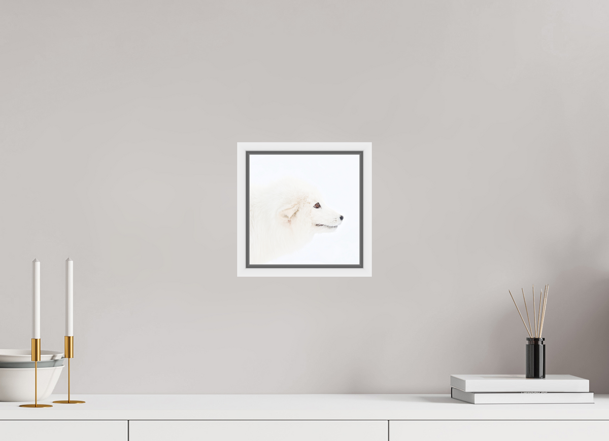 20 x 20 cm, Floater Frame White Matte Acrylic Glass Arctic Fox Head - Floater Frame