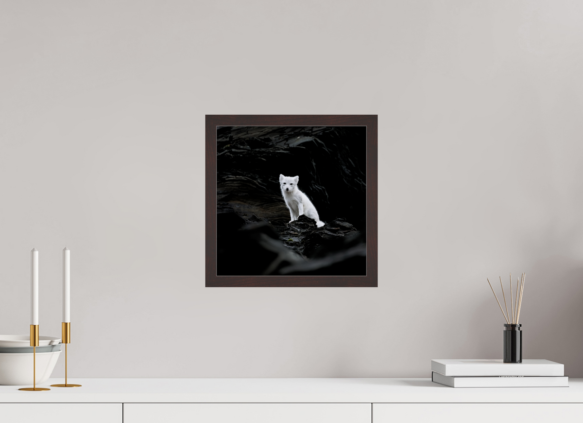30 x 30 cm, Gallery Frame Hamburg 20mm Alder Brown Glossy Acrylic Arctic Fox Angel - In Solid 20 mm Wood Frame Hamburg Glossy