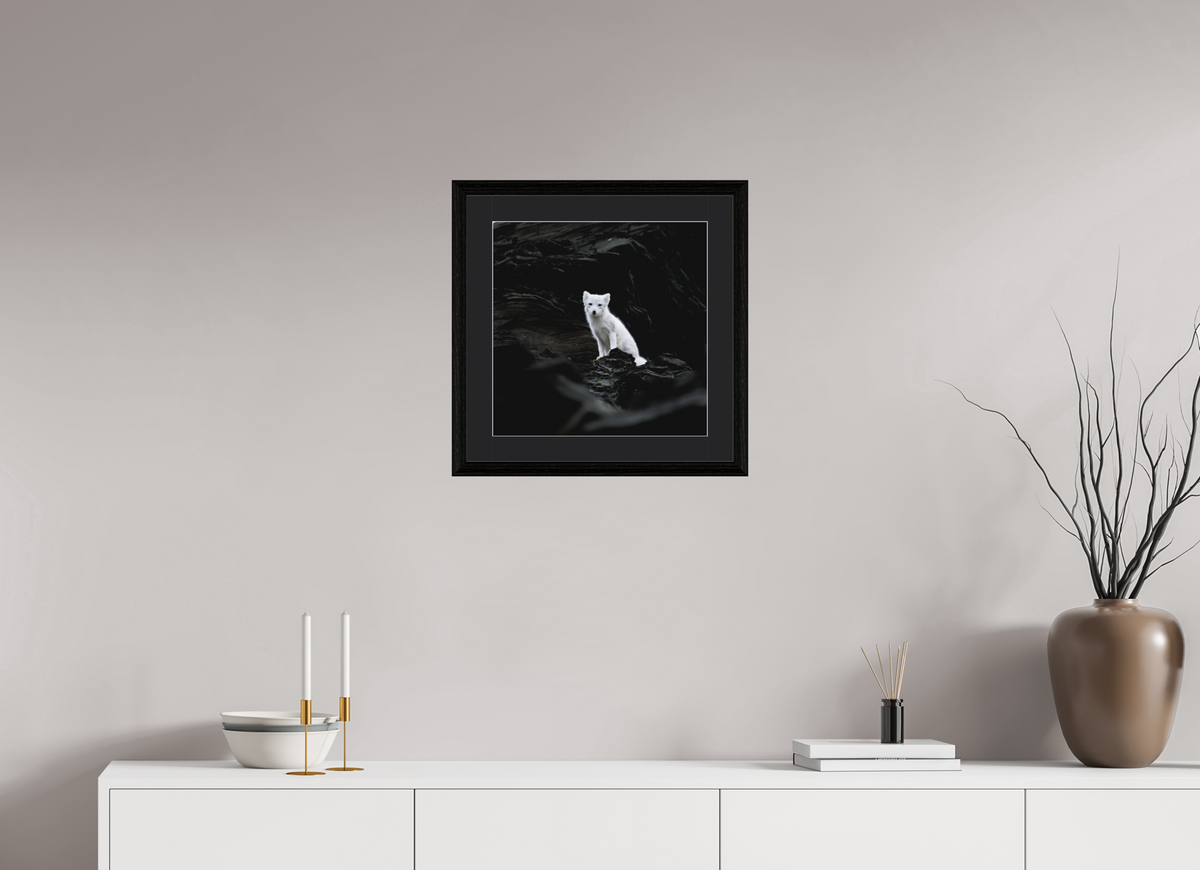40 x 40 cm, Solid Wood Frame Vienna Passe-partout Black Oak Arctiv Fox Angel -Solid Frame With Passe-Partout