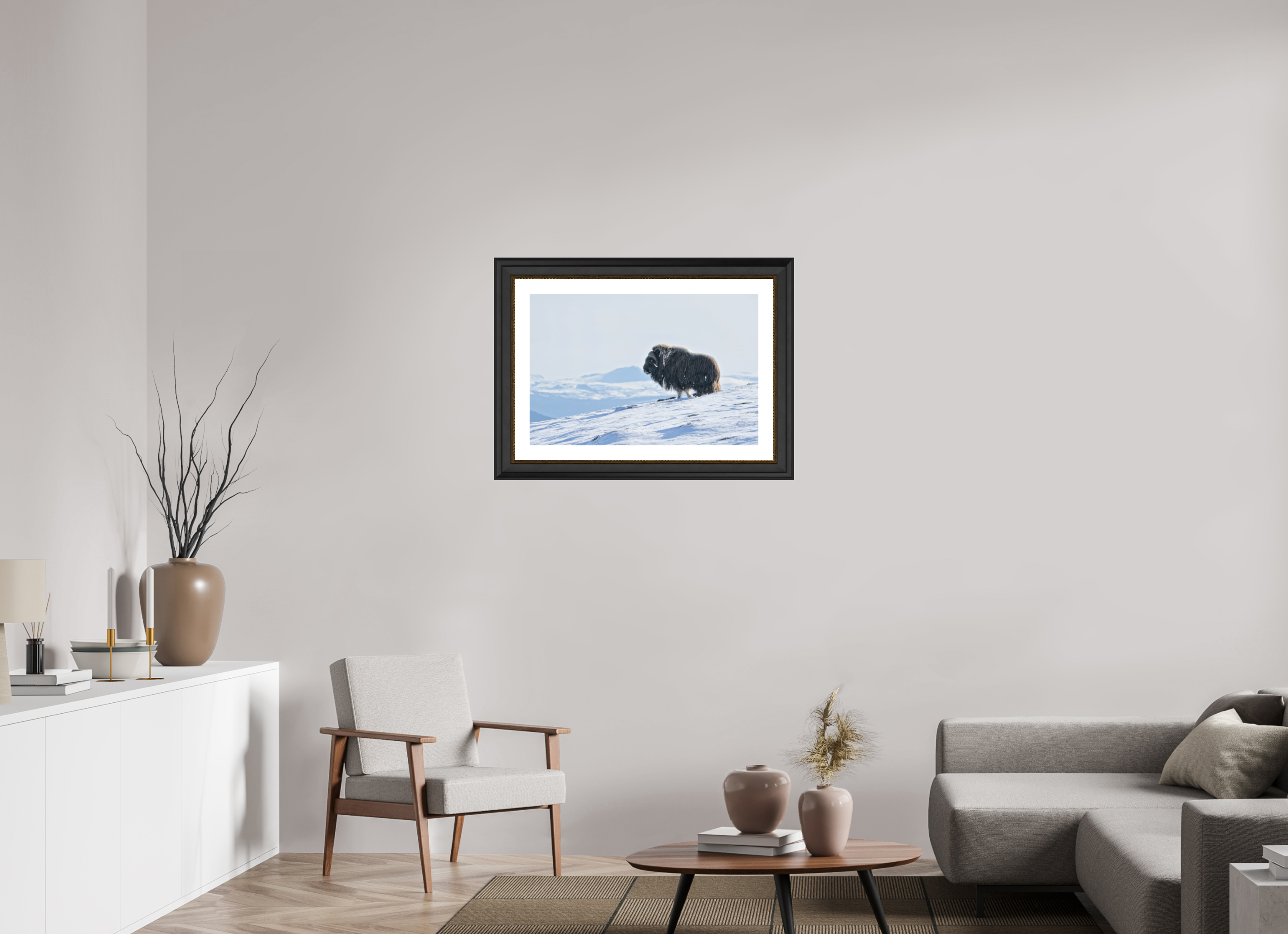 75 x 50 cm, Solid Wood Black-gold Frame London White Passe-partout The Musk Ox Kingdom -  Solid Frame White Passe-Partout