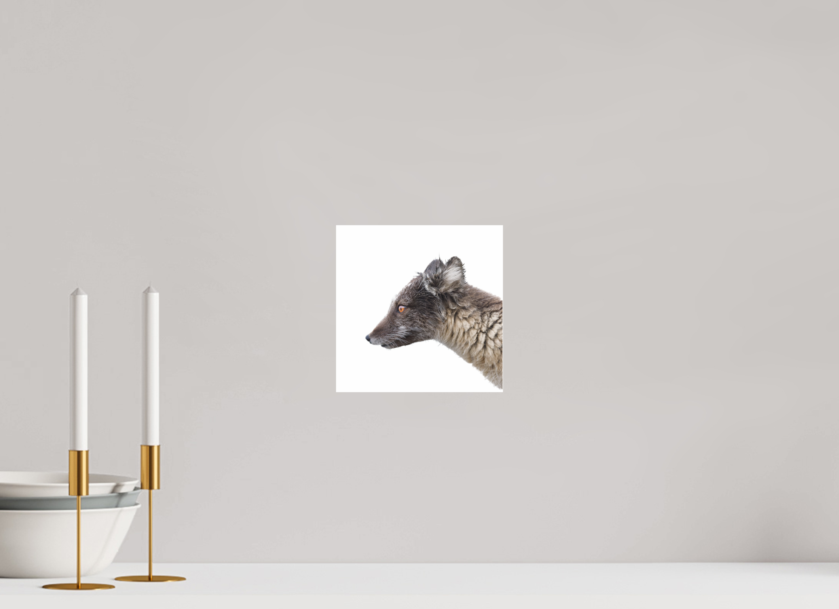 20 x 20 cm, Photo Print Under Glossy Acrylic Glass 4mm Arctic Fox Brown - Under Acrylic Glass