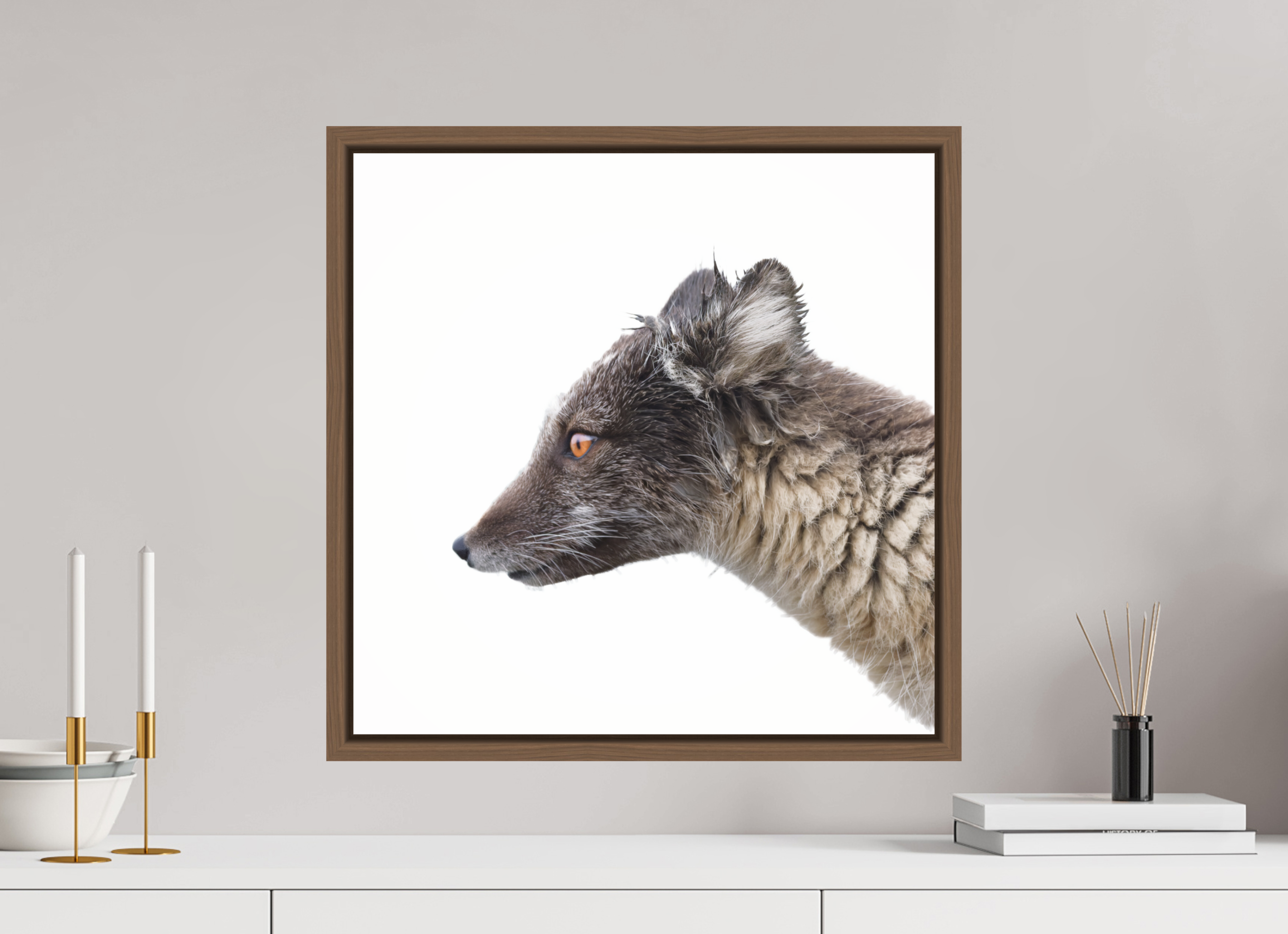 50 x 50 cm, Floater Frame Walnut Glossy Acrylic Glass Arctic Fox Brown - Floater Frame Glossy