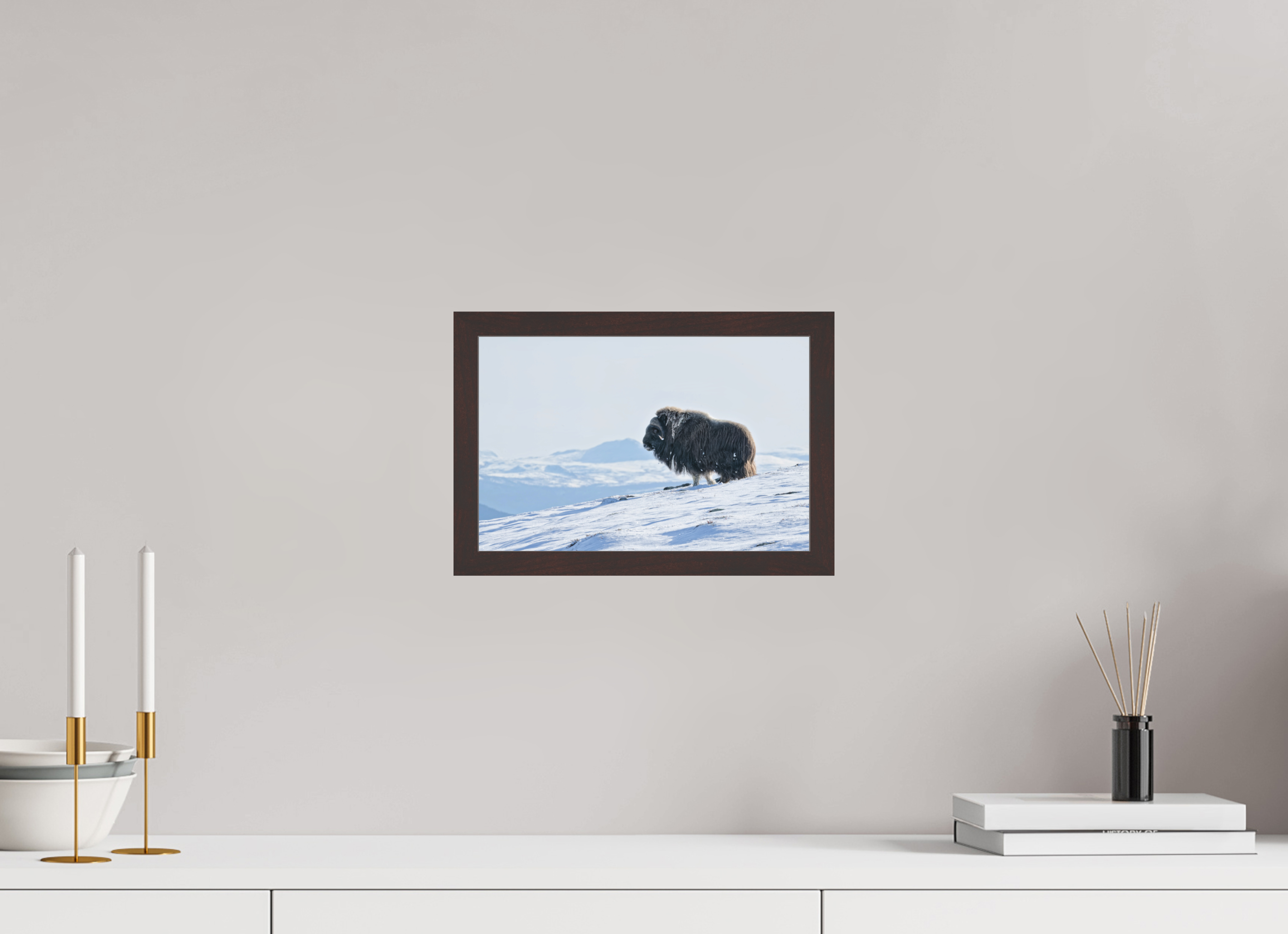 30 x 20 cm, Gallery Frame Hamburg 20mm Alder Brown Matte Acrylic The Musk Ox Kingdom - In Solid 20 mm Wood Frame Hamburg Matte Acrylic