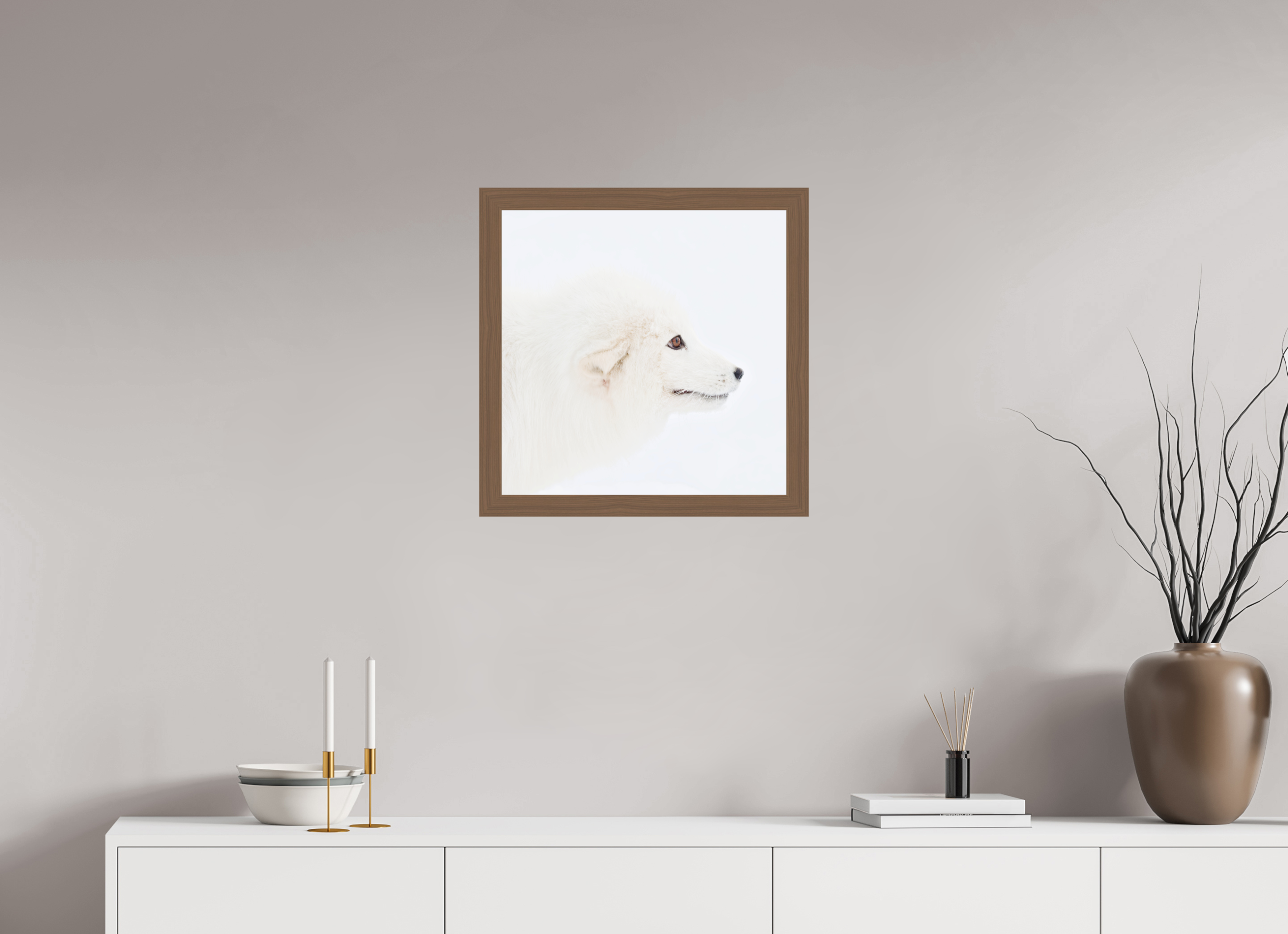 50 x 50 cm, Gallery Frame Hamburg 40mm Walnut Glossy Acrylic Glass Arctic Fox Head - In Solid Wood Frame Hamburg 40 mm