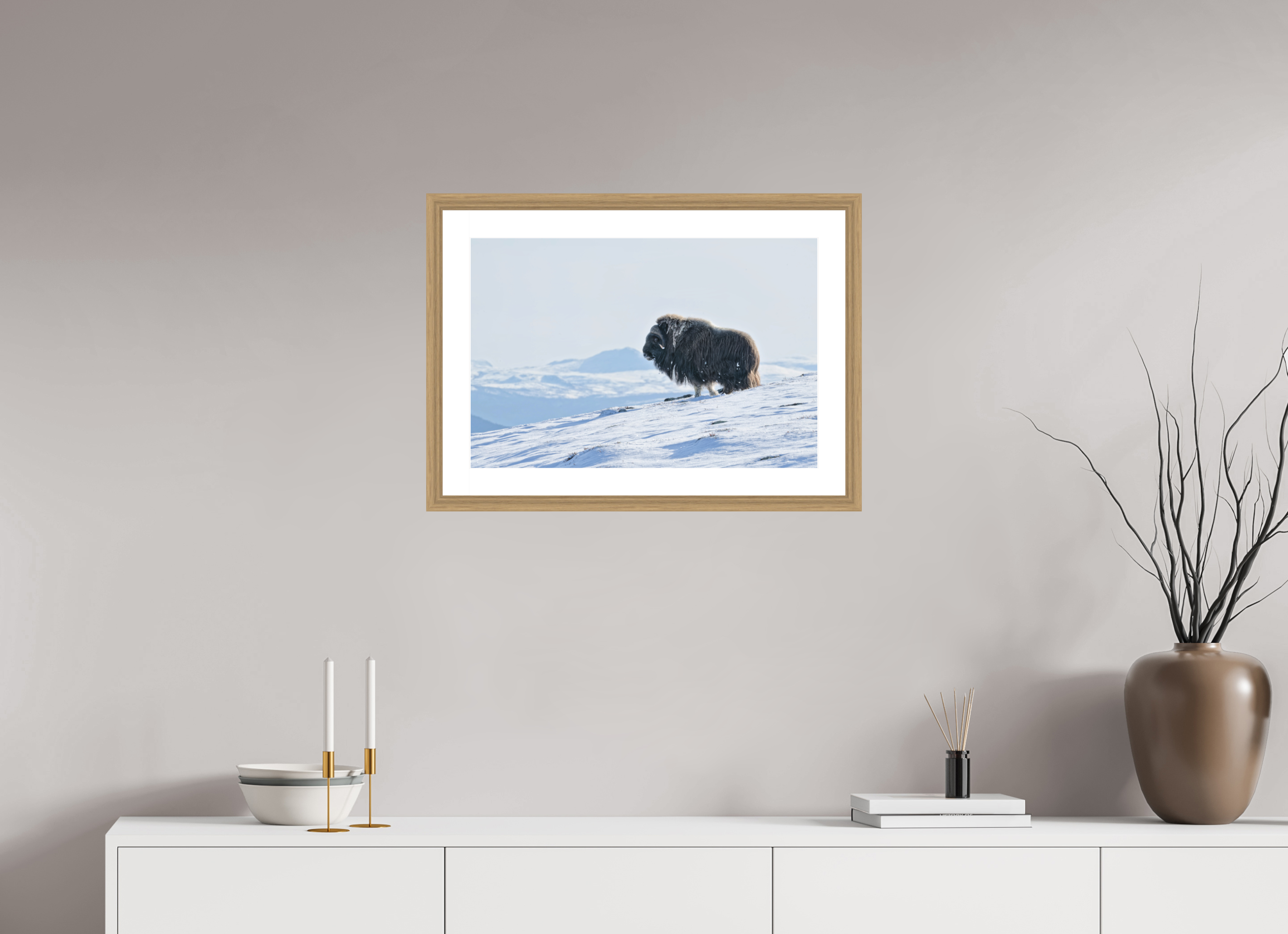 60 x 40 cm, Solid Wood Natural Oak Frame Vienna White Passe-partout The Musk Ox Kingdom -  Solid Frame White Passe-Partout