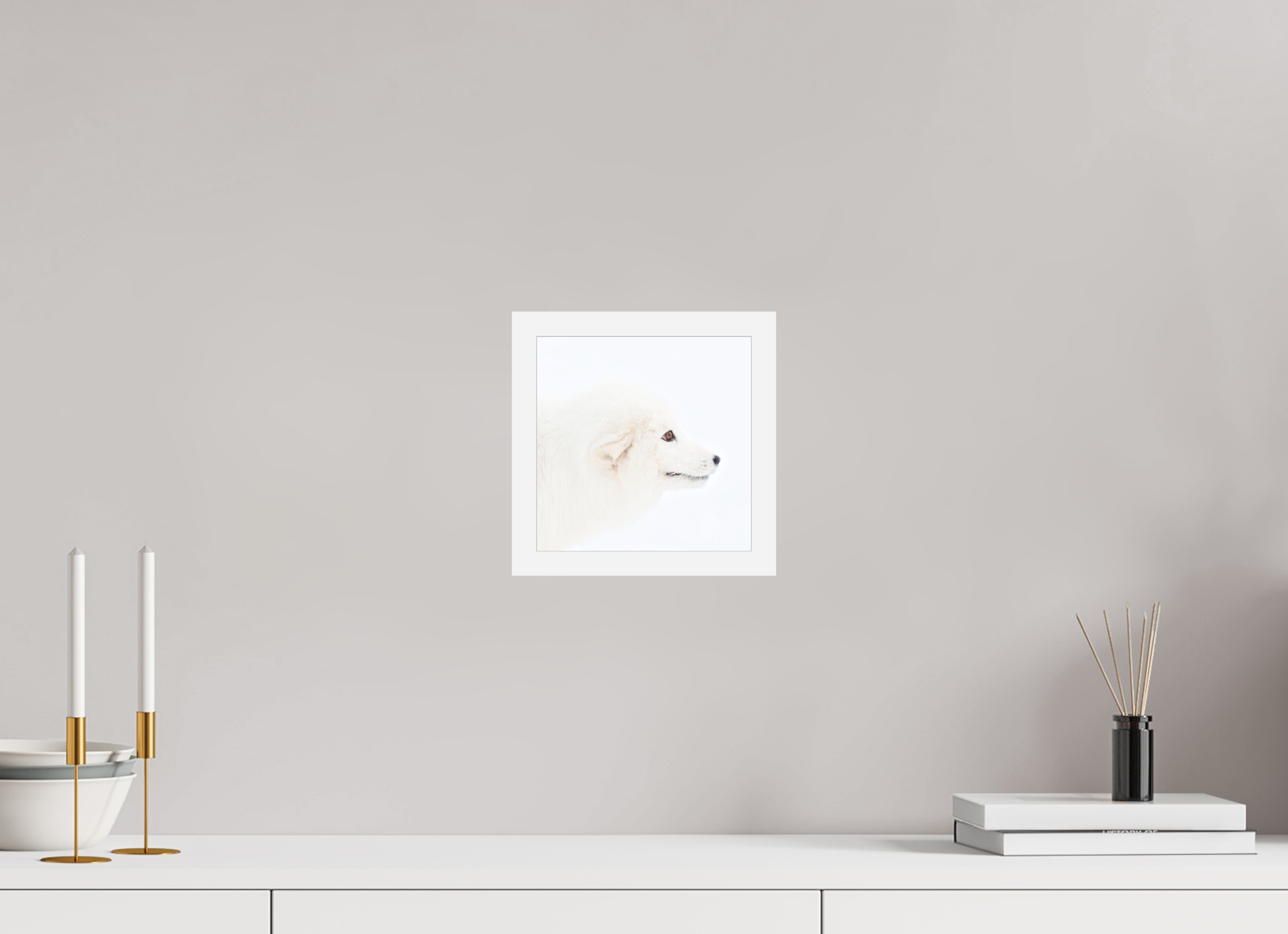 20 x 20 cm, Gallery Frame Hamburg 20mm White Matte Acrylic Arctic Fox Head - In Gallery Frame Hamburg 20 mm