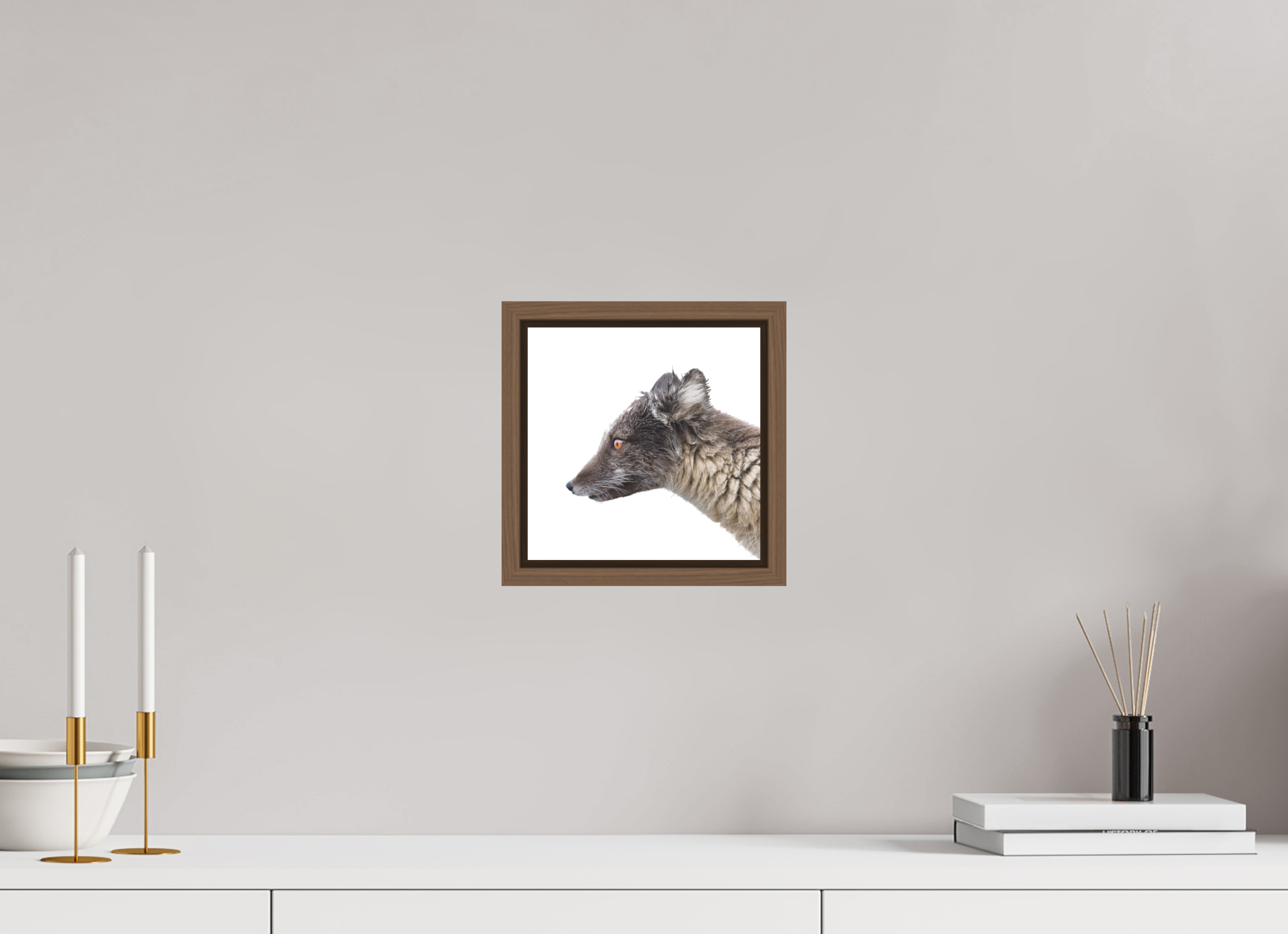20 x 20 cm, Floater Frame Walnut Matte Acrylic Glass Arctic Fox Brown - Floater Frame Matte