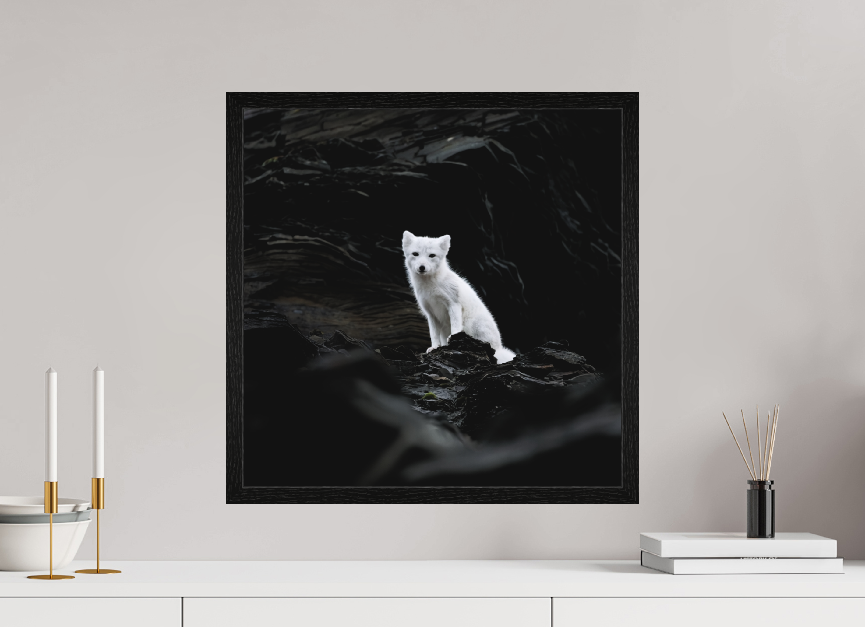 50 x 50 cm, Gallery Frame Hamburg 20mm Black Oak Matte Acrylic Arctic Fox Angel - In Solid 20 mm Wood Frame Hamburg Matte