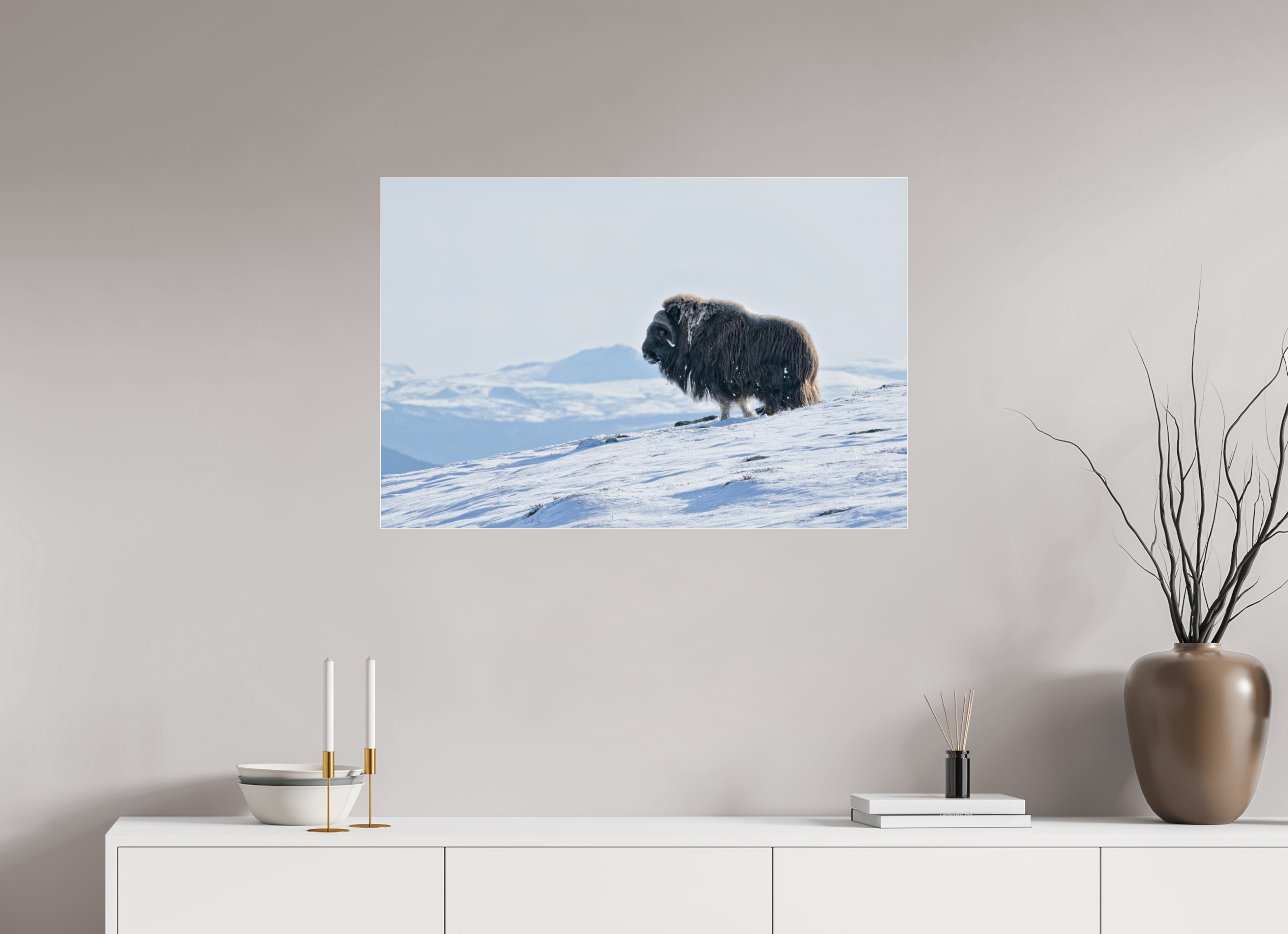 90 x 60 cm, Photo Print Under Glossy Acrylic Glass 4mm The Musk Ox Kingdom - Photo Print Under Acrylic Glass