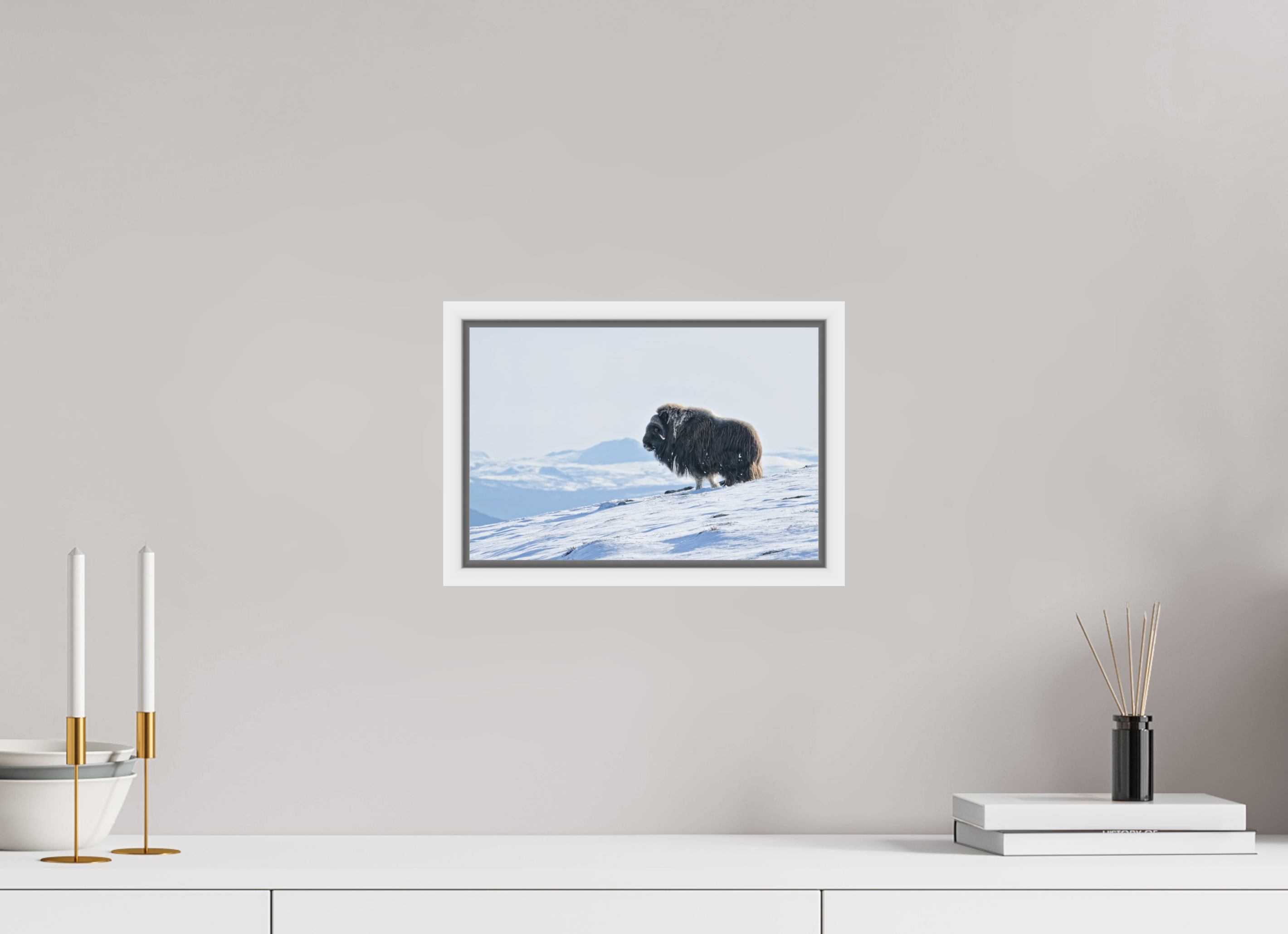30 x 20 cm, Floater Frame Matte White Matte Acrylic Glass The Musk Ox Kingdom - Floater Frame Matte Acrylic