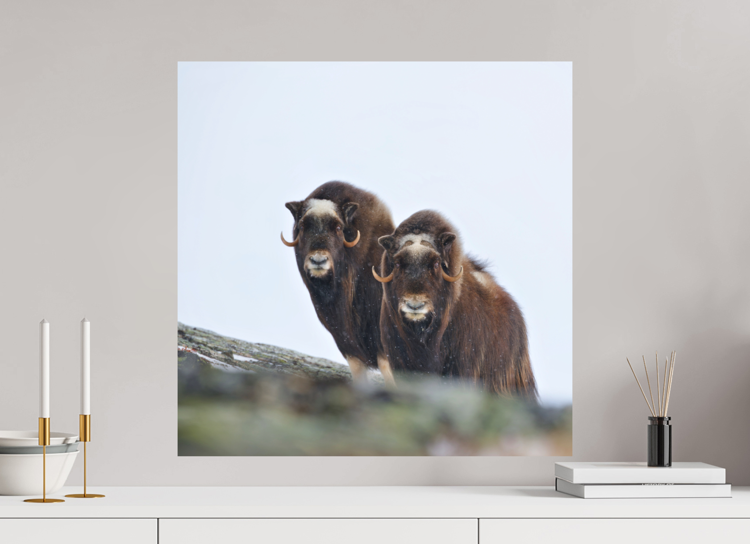 60 x 60 cm, Matte Photo Print The Musk Sisters - Photo Print