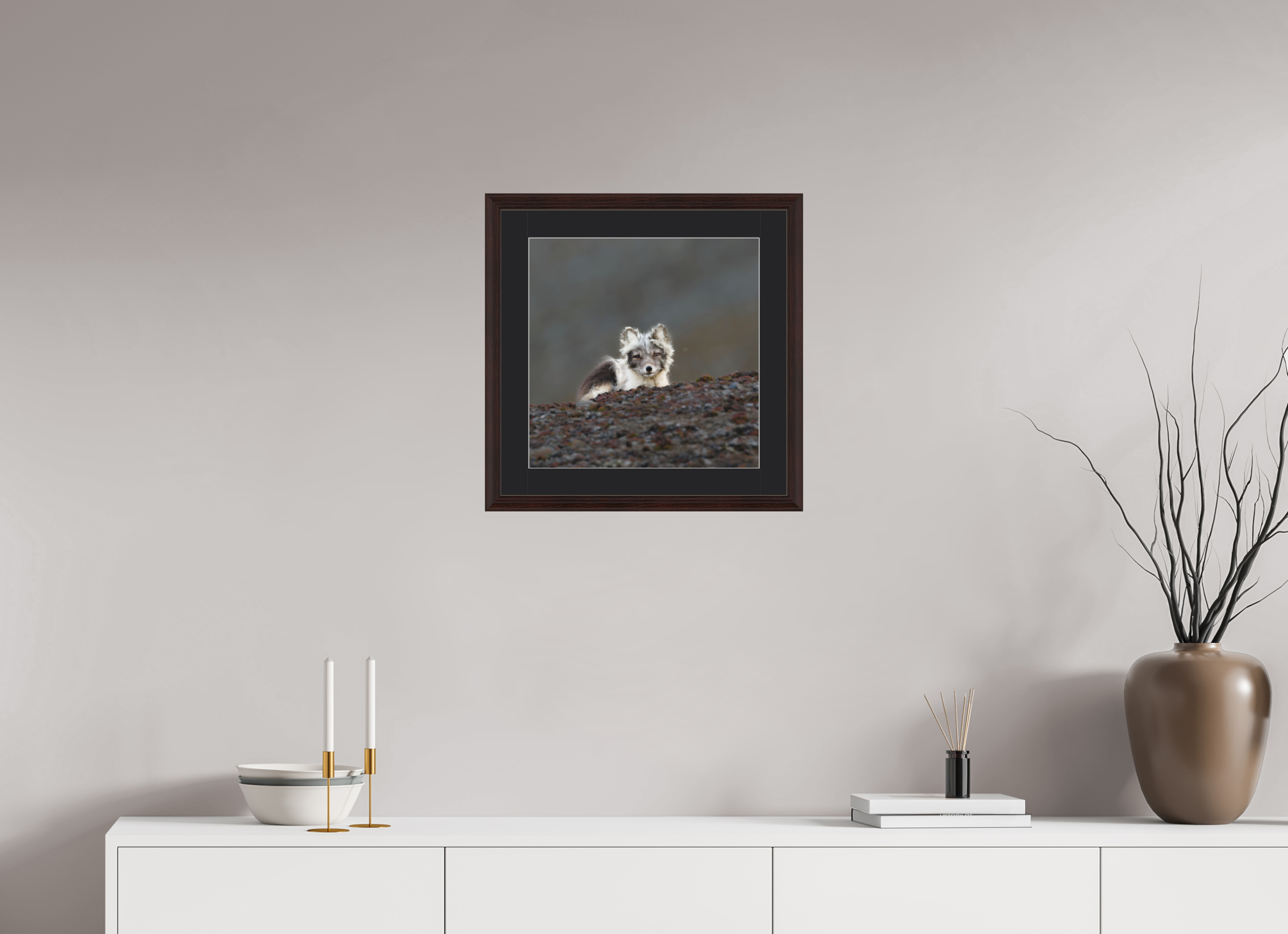 40 x 40 cm, Solid Wood Frame Vienna Passe-partout Alder Brown Arctiv Fox Scout -Solid Frame With Passe-Partout