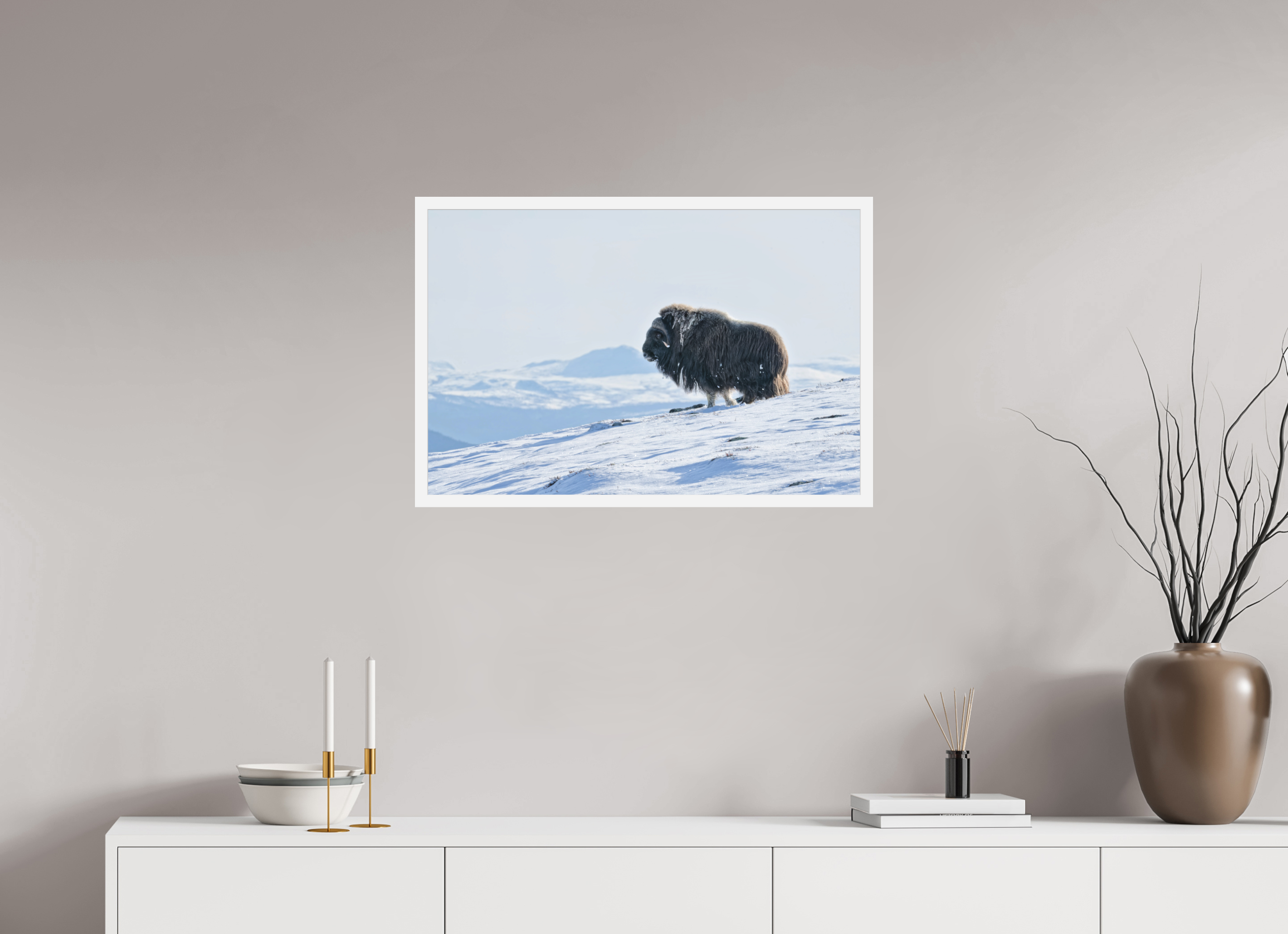 75 x 50 cm, Gallery Frame Hamburg 20mm Matte White Matte Acrylic The Musk Ox Kingdom - In Solid 20 mm Wood Frame Hamburg Matte Acrylic