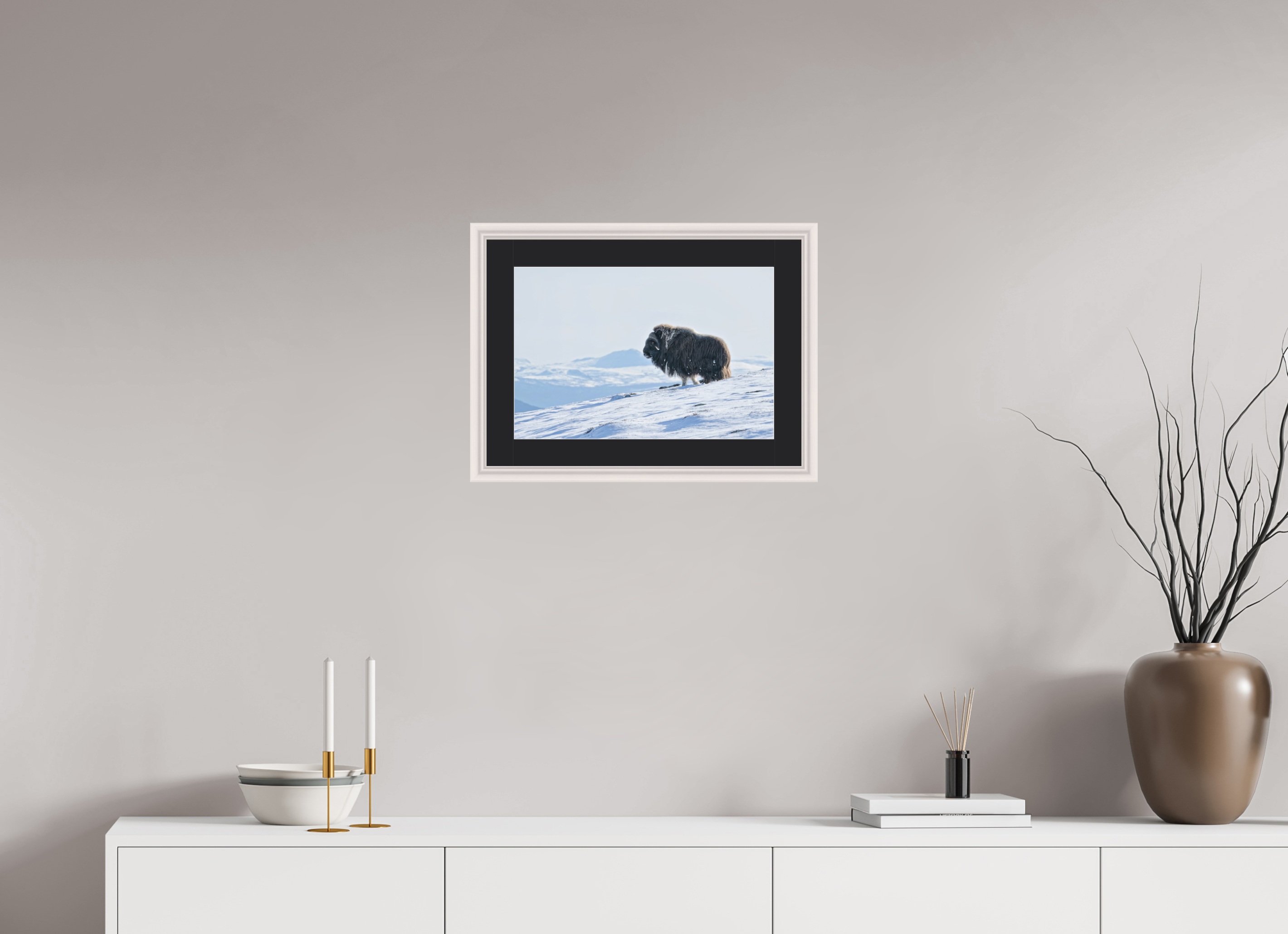 45 x 30 cm, Solid Wood White Frame Vienna Black Passe-partout Maple The Musk Ox Kingdom - Solid Frame With Passe-Partout