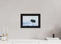 30 x 20 cm, Gallery Frame Hamburg 40mm Black Oak Glossy Acrylic Glass The Musk Ox Kingdom -  In Solid 40 mm Wood Frame Hamburg  Glossy Acrylic
