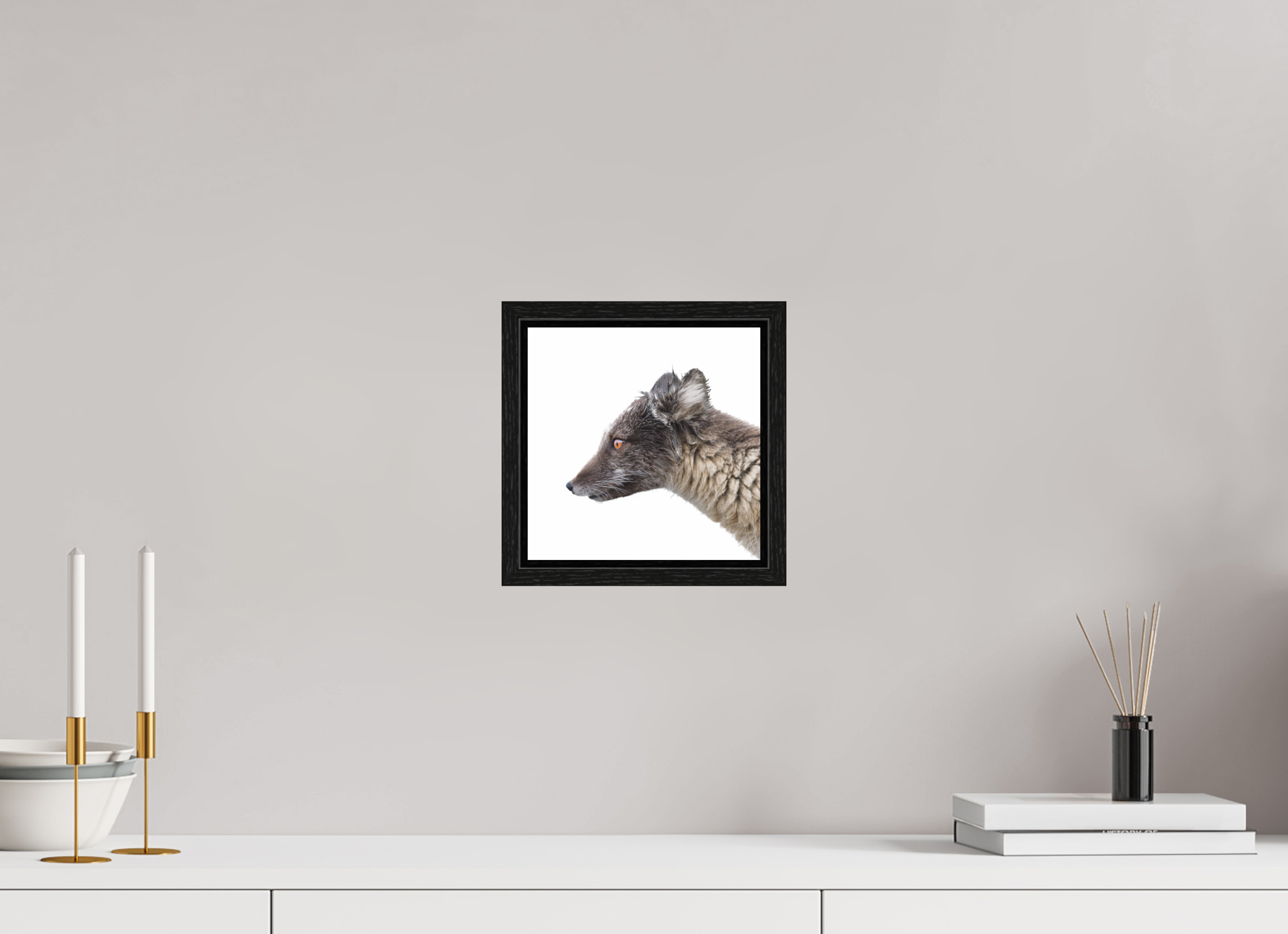 20 x 20 cm, Floater Frame Black Oak Glossy Acrylic Glass Arctic Fox Brown - Floater Frame Glossy