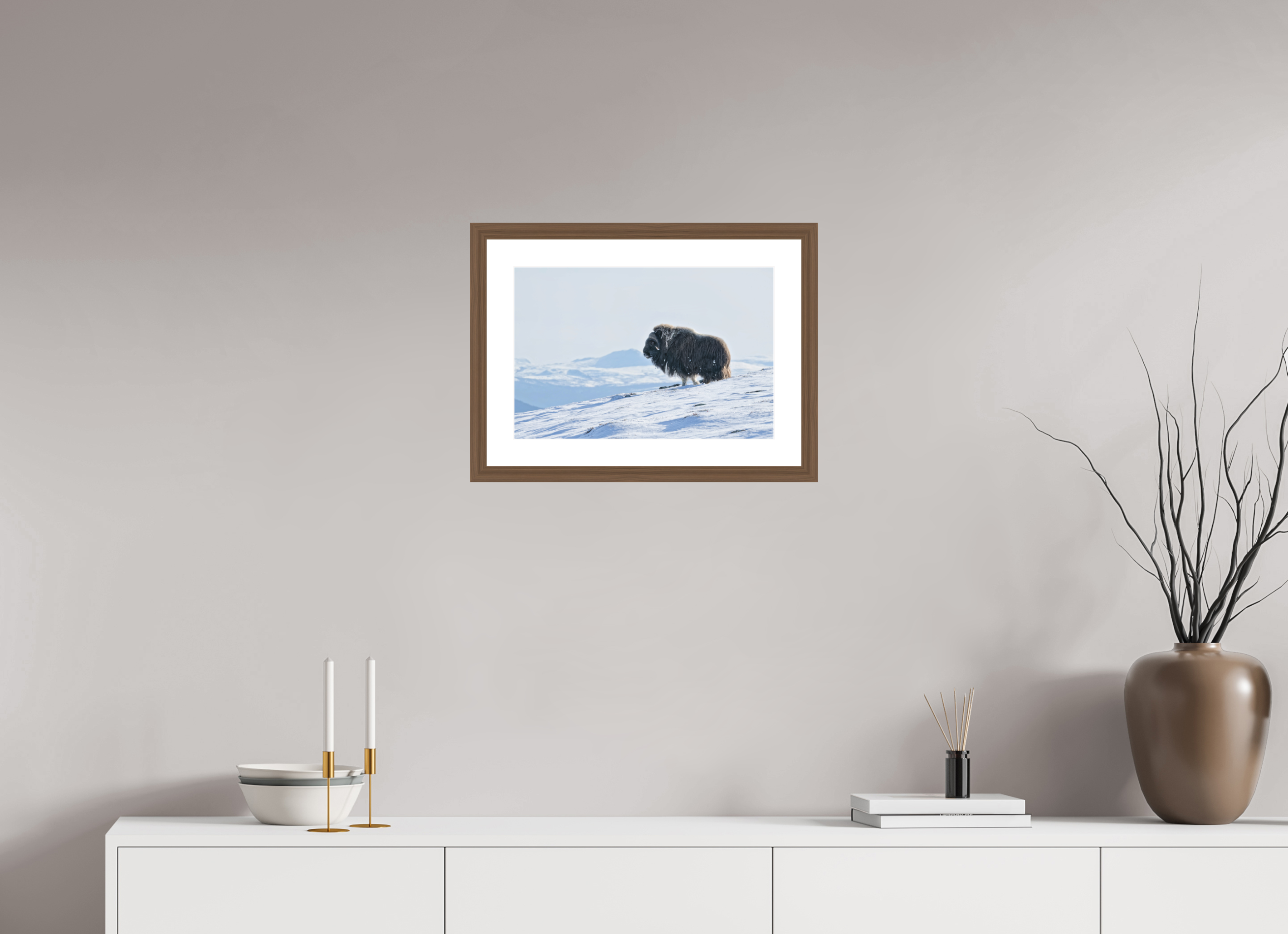 45 x 30 cm, Solid Wood Walnut Frame Vienna White Passe-partout The Musk Ox Kingdom -  Solid Frame White Passe-Partout