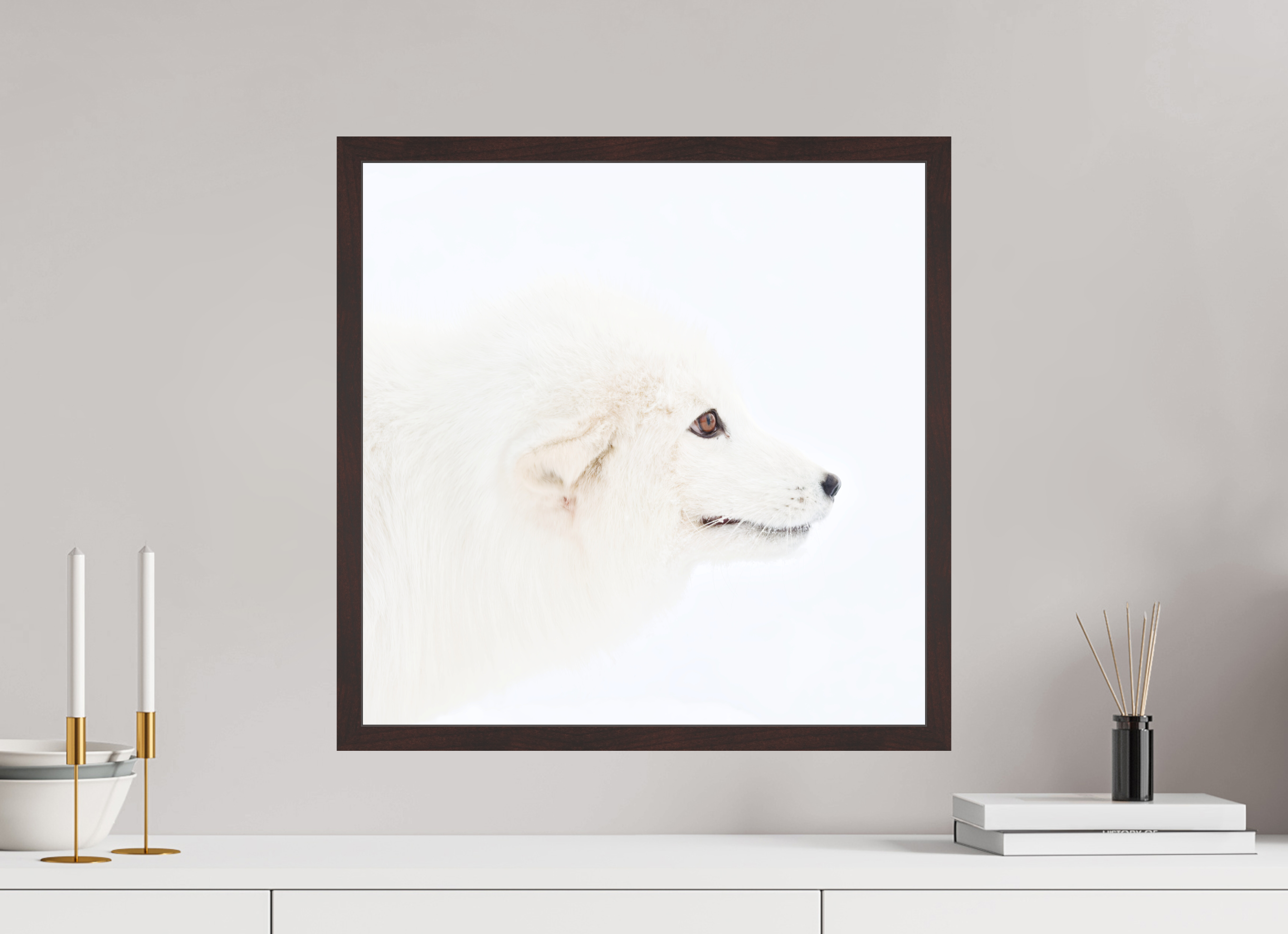 50 x 50 cm, Gallery Frame Hamburg 20mm Alder Brown Matte Acrylic Arctic Fox Head - In Gallery Frame Hamburg 20 mm