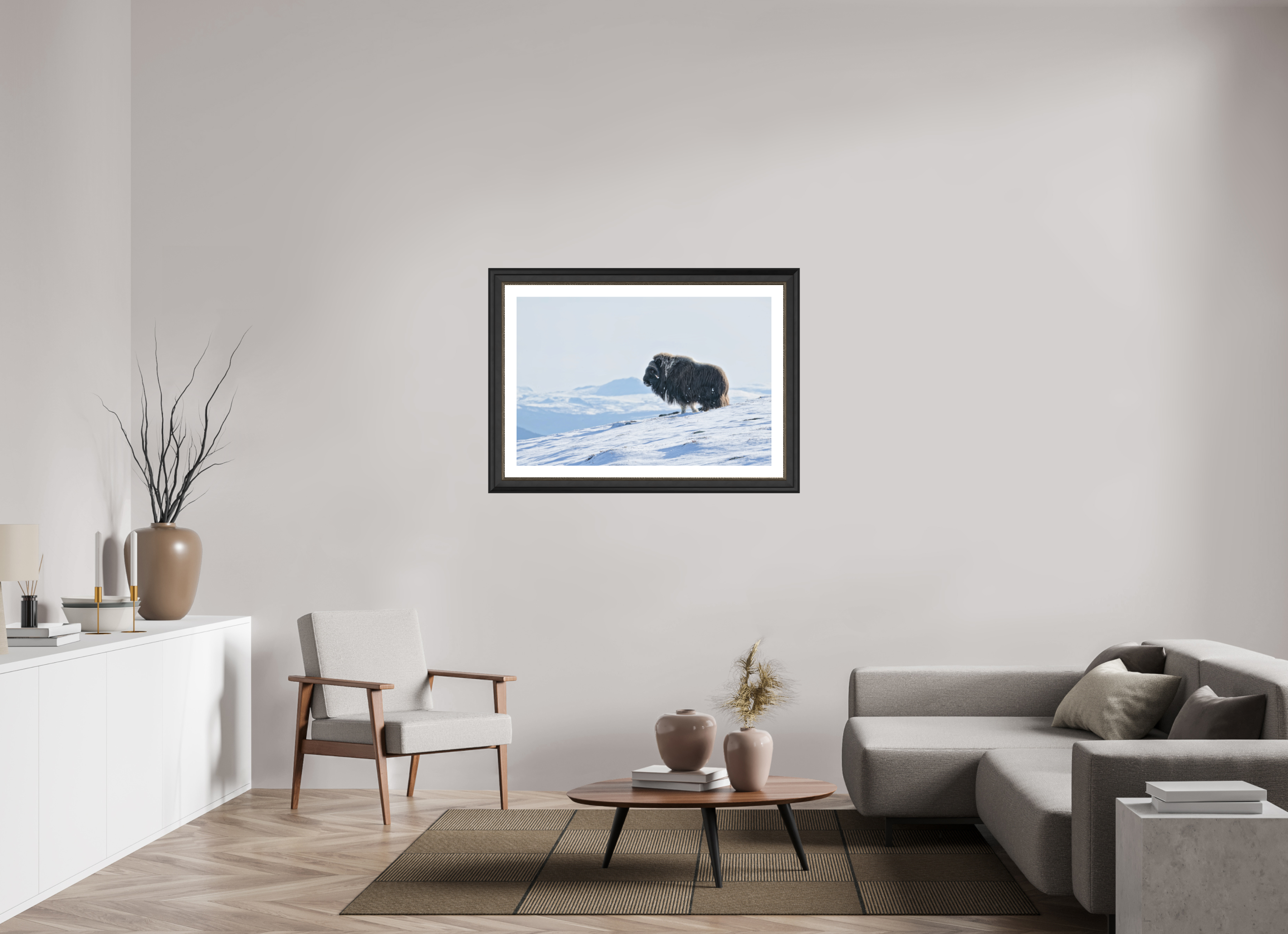 105 x 70 cm, Solid Wood Black-silver Frame London White Passe-partout The Musk Ox Kingdom -  Solid Frame White Passe-Partout