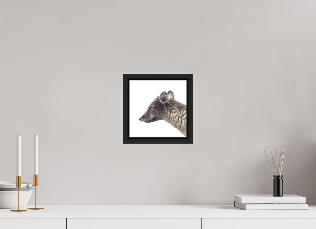 20 x 20 cm, Floater Frame Matte Black Matte Acrylic Glass Arctic Fox Brown - Floater Frame Matte