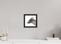 20 x 20 cm, Floater Frame Matte Black Matte Acrylic Glass Arctic Fox Brown - Floater Frame Matte