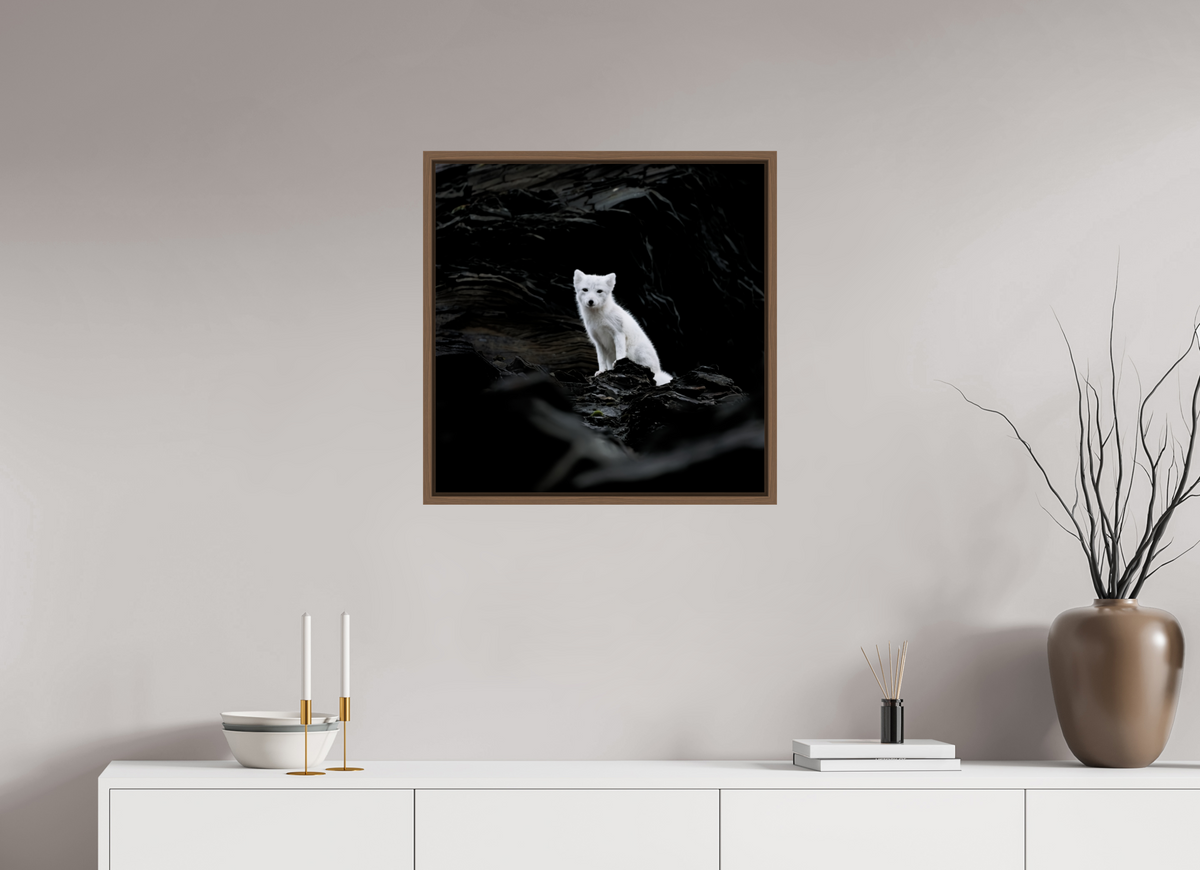 60 x 60 cm, Floater Frame Walnut Glossy Acrylic Glass Arctic Fox Angel - Floater Frame Glossy