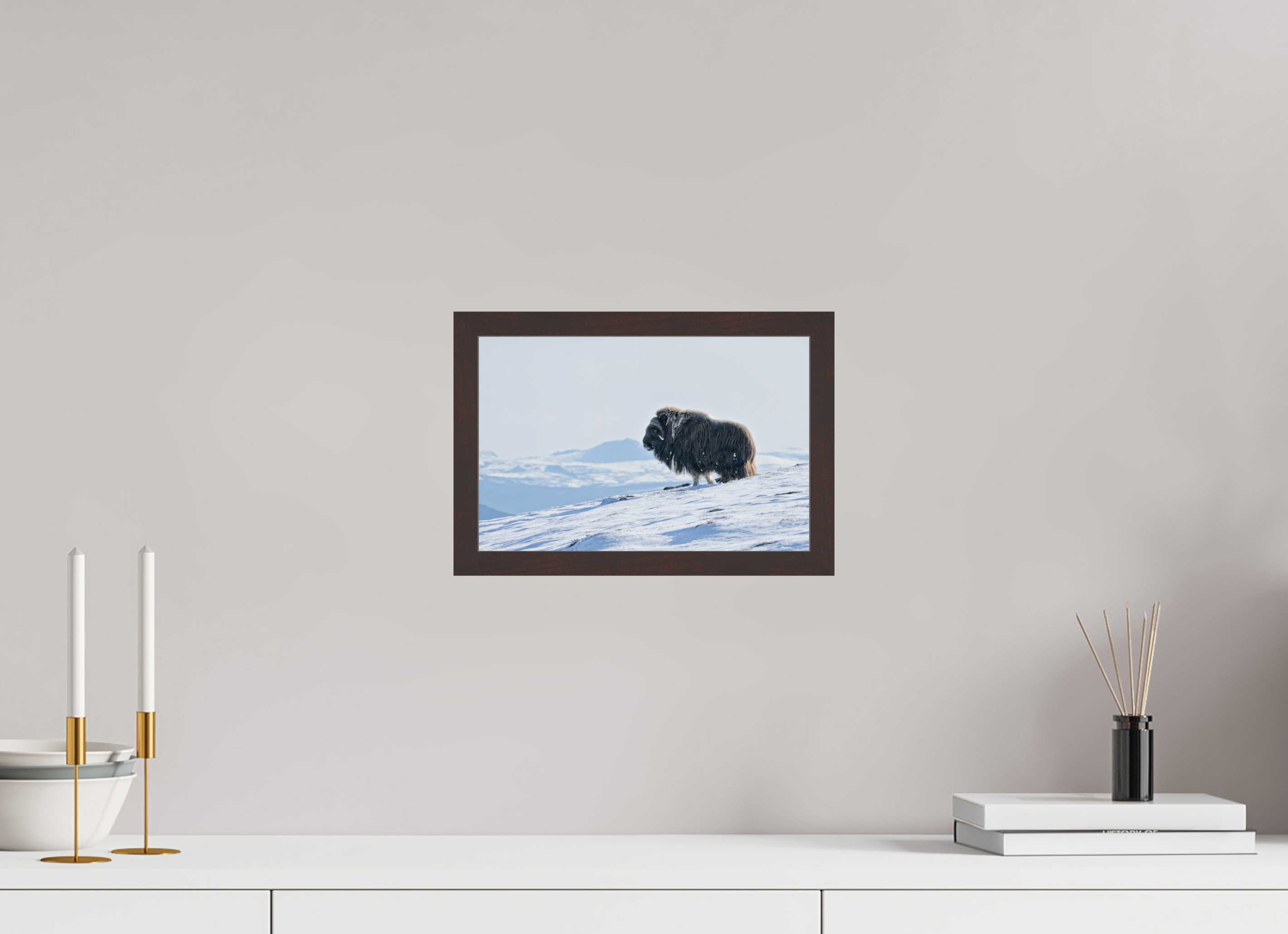 30 x 20 cm, Gallery Frame Hamburg Alder Brown Glossy Acrylic The Musk Ox Kingdom - In Solid 20 mm Wood Frame Hamburg Glossy