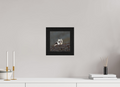 20 x 20 cm, Gallery Frame Hamburg 40mm Black Oak Glossy Acrylic Glass Arctic Fox Scout- In Solid 40 mm Wood Frame Hamburg Glossy