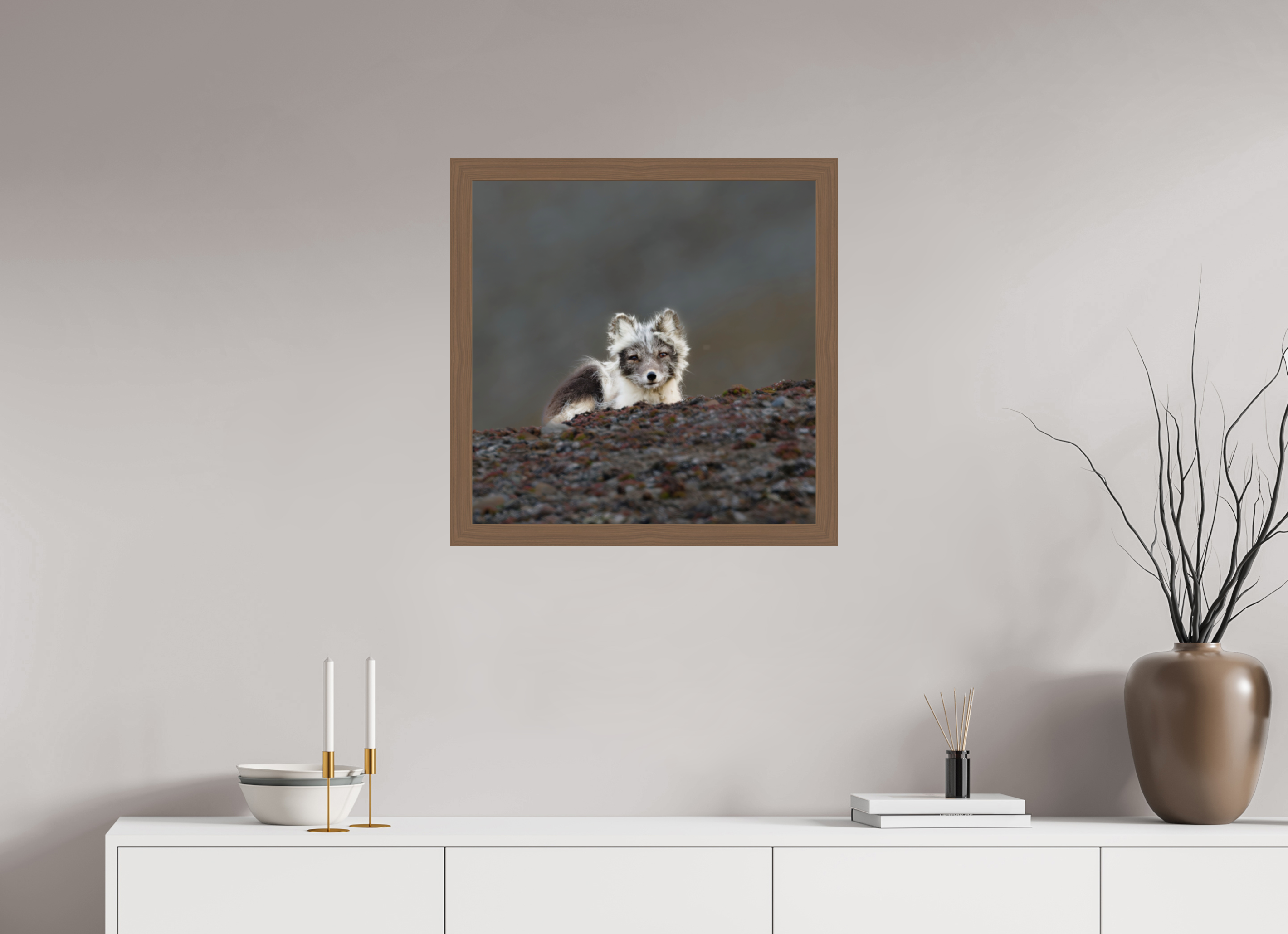 60 x 60 cm, Gallery Frame Hamburg 40mm Walnut Glossy Acrylic Arctic Fox Scout- In Solid 40 mm Wood Frame Hamburg Glossy