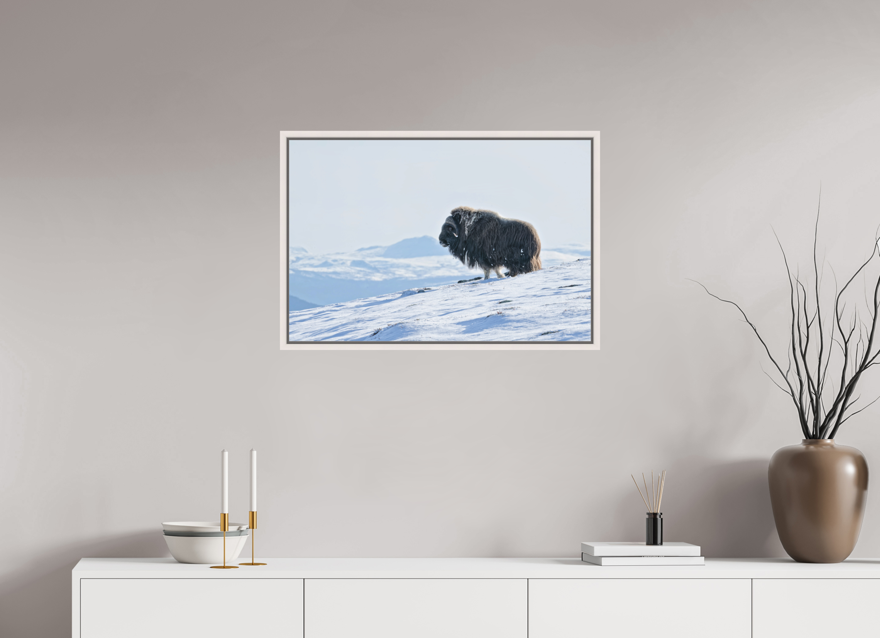 75 x 50 cm, Floater Frame Maple White Matte Acrylic Glass The Musk Ox Kingdom - Floater Frame Matte Acrylic