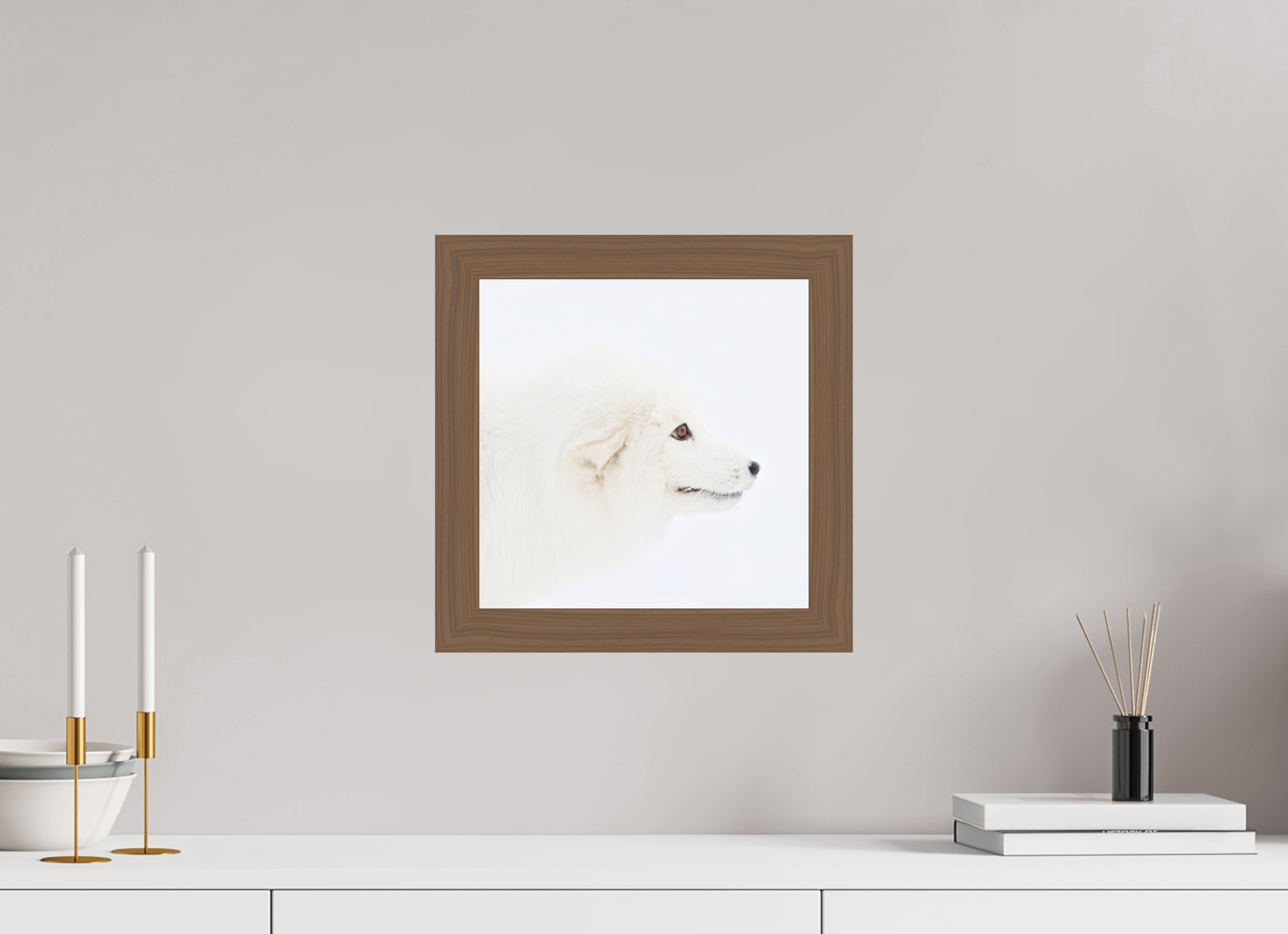 30 x 30 cm, Gallery Frame Hamburg 40mm Walnut Glossy Acrylic Glass Arctic Fox Head - In Solid Wood Frame Hamburg 40 mm