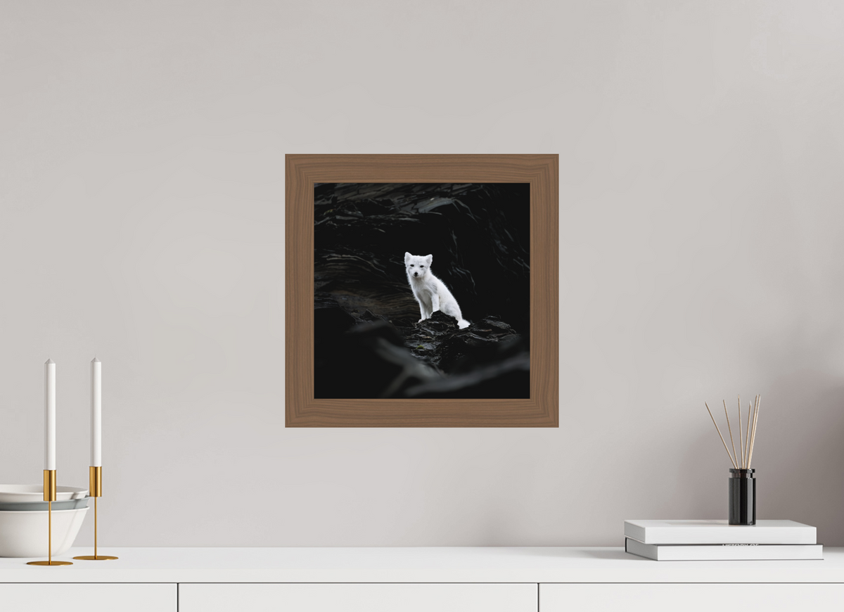 30 x 30 cm, Gallery Frame Hamburg 40mm Black Walnut Matte Acrylic Arctic Fox Angel- In Solid 40 mm Wood Frame Hamburg Matte