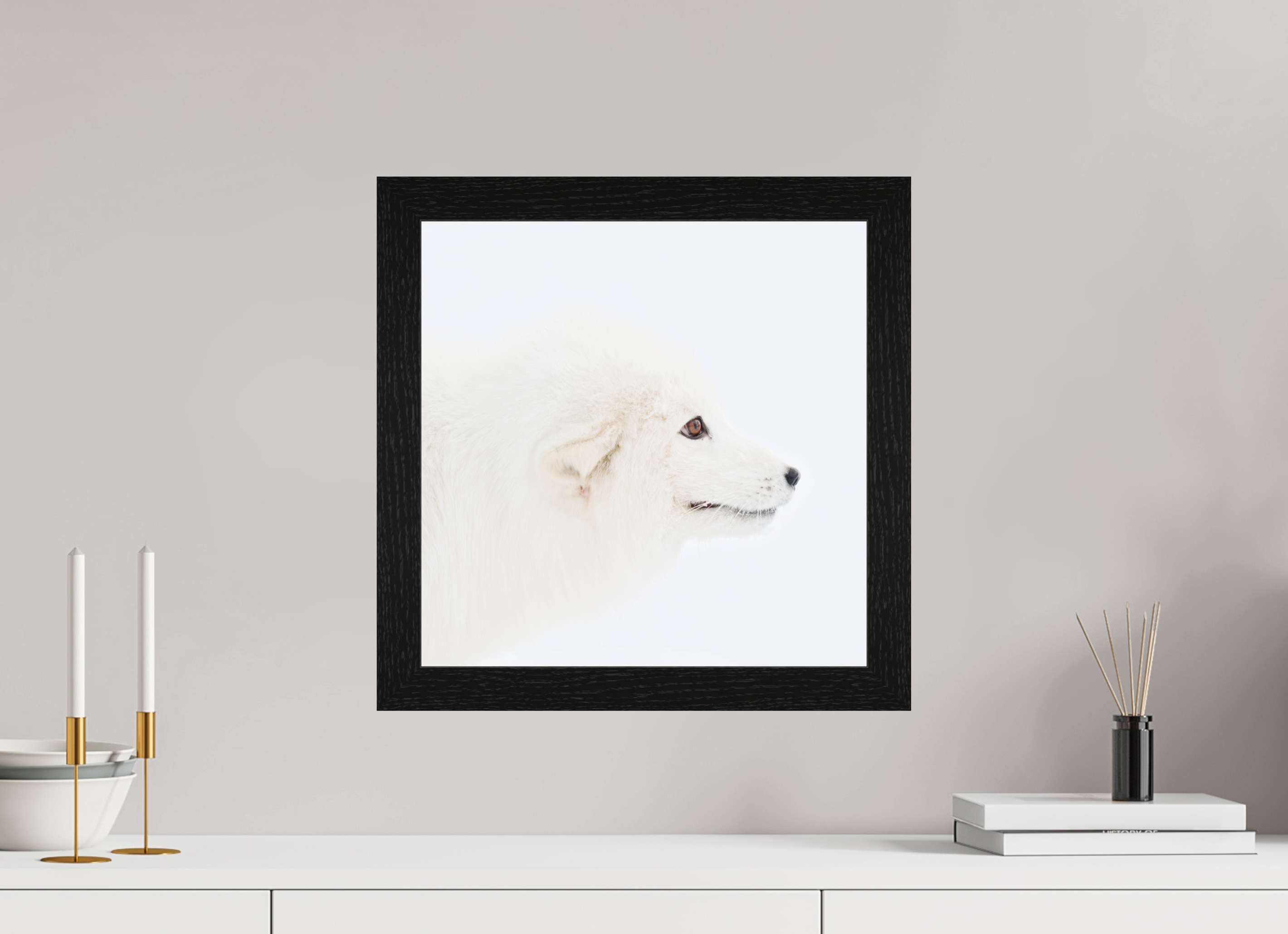 40 x 40 cm, Gallery Frame Hamburg 40mm Black Oak Glossy Acrylic Glass Arctic Fox Head - In Solid Wood Frame Hamburg 40 mm