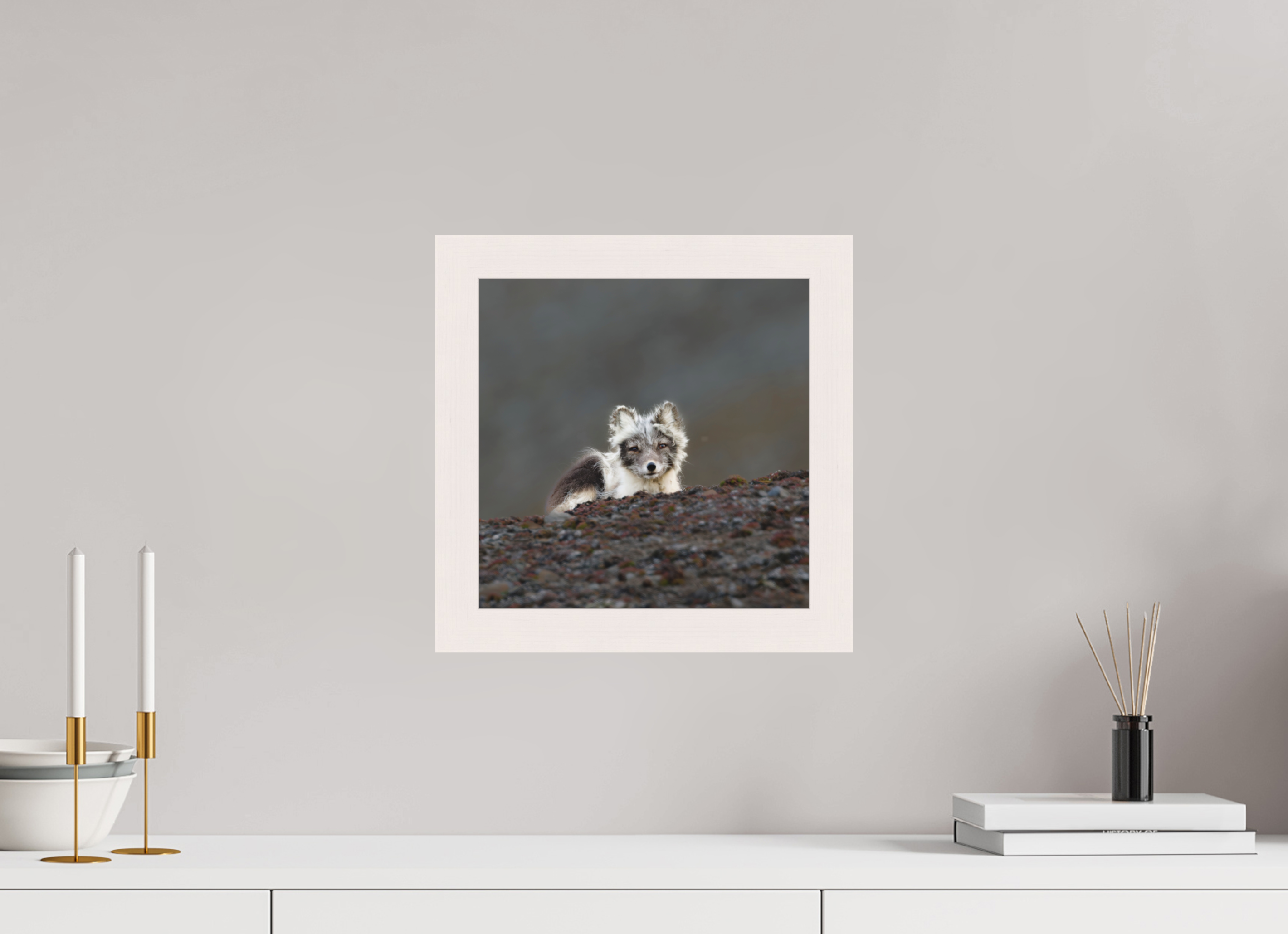 30 x 30 cm, Gallery Frame Hamburg 40mm White Maple Matte Acrylic Arctic Fox Scout- In Solid 40 mm Wood Frame Hamburg Matte