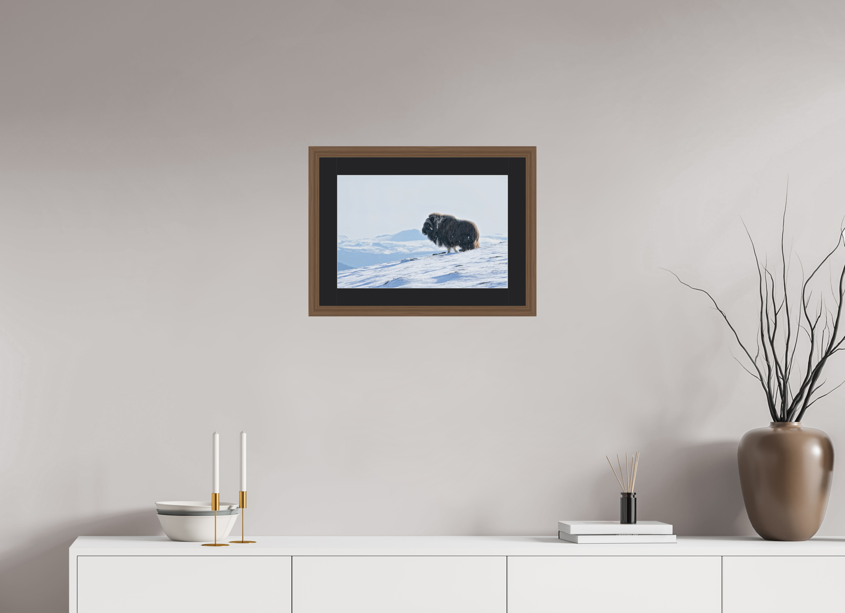 45 x 30 cm, Solid Wood Walnut Frame Vienna Black Passe-partout The Musk Ox Kingdom - Solid Frame With Passe-Partout