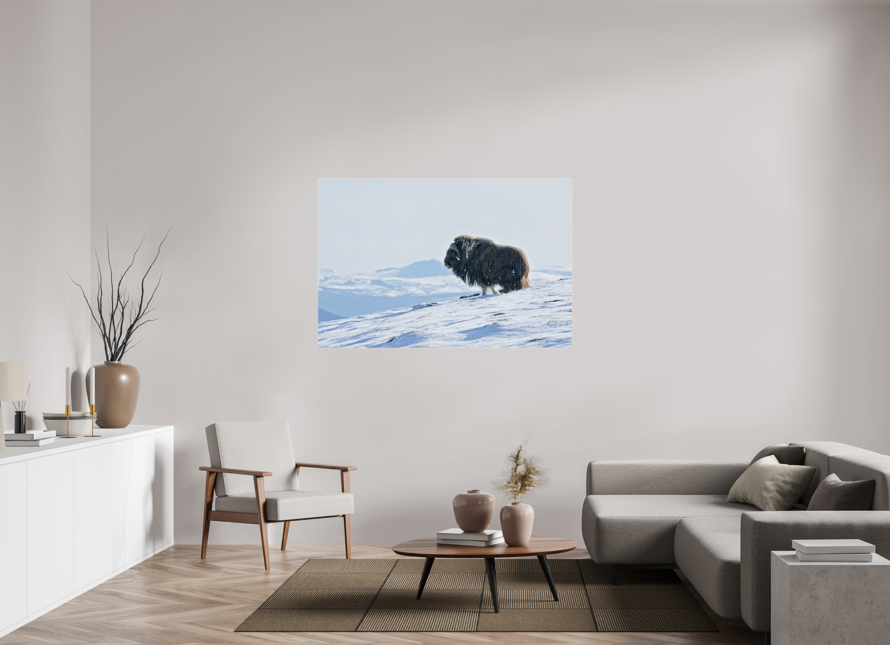 150 x 100 cm, Photo Print Under Glossy Acrylic Glass 2mm The Musk Ox Kingdom - Photo Print Under Acrylic Glass