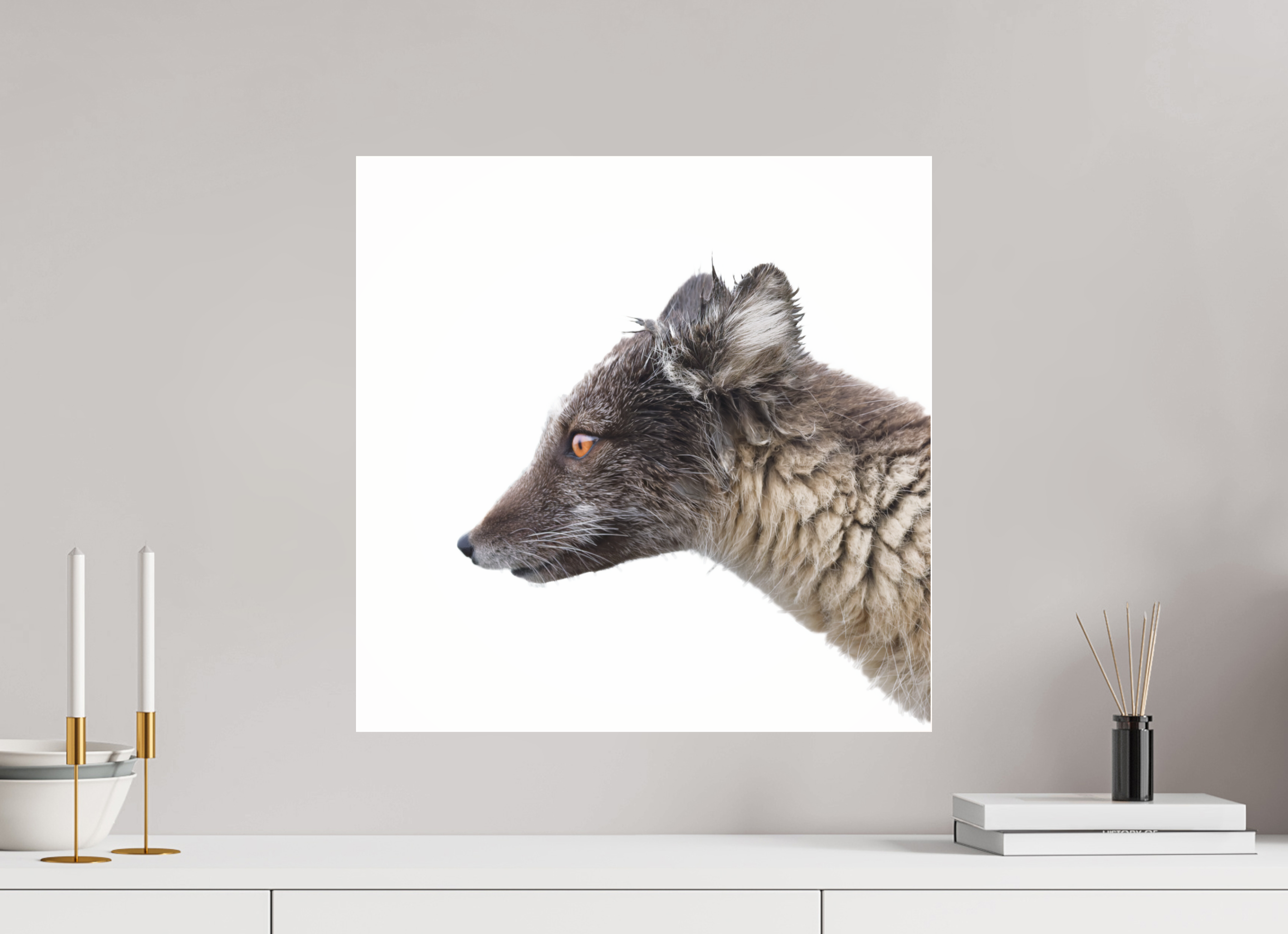 50 x 50 cm, Photo Print Under Glossy Acrylic Glass 4mm Arctic Fox Brown - Under Acrylic Glass