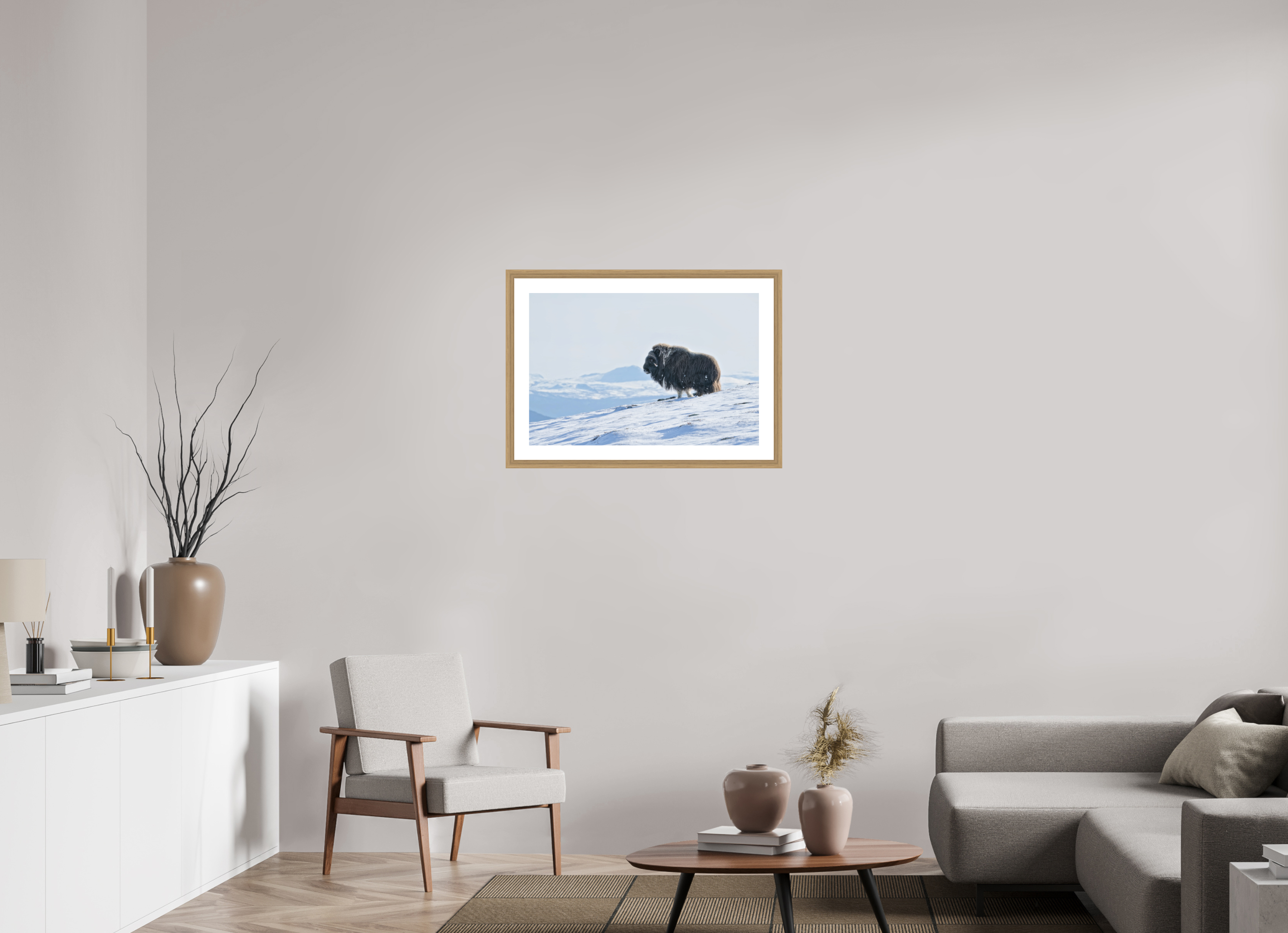 75 x 50 cm, Solid Wood Natural Oak Frame Vienna White Passe-partout The Musk Ox Kingdom -  Solid Frame White Passe-Partout