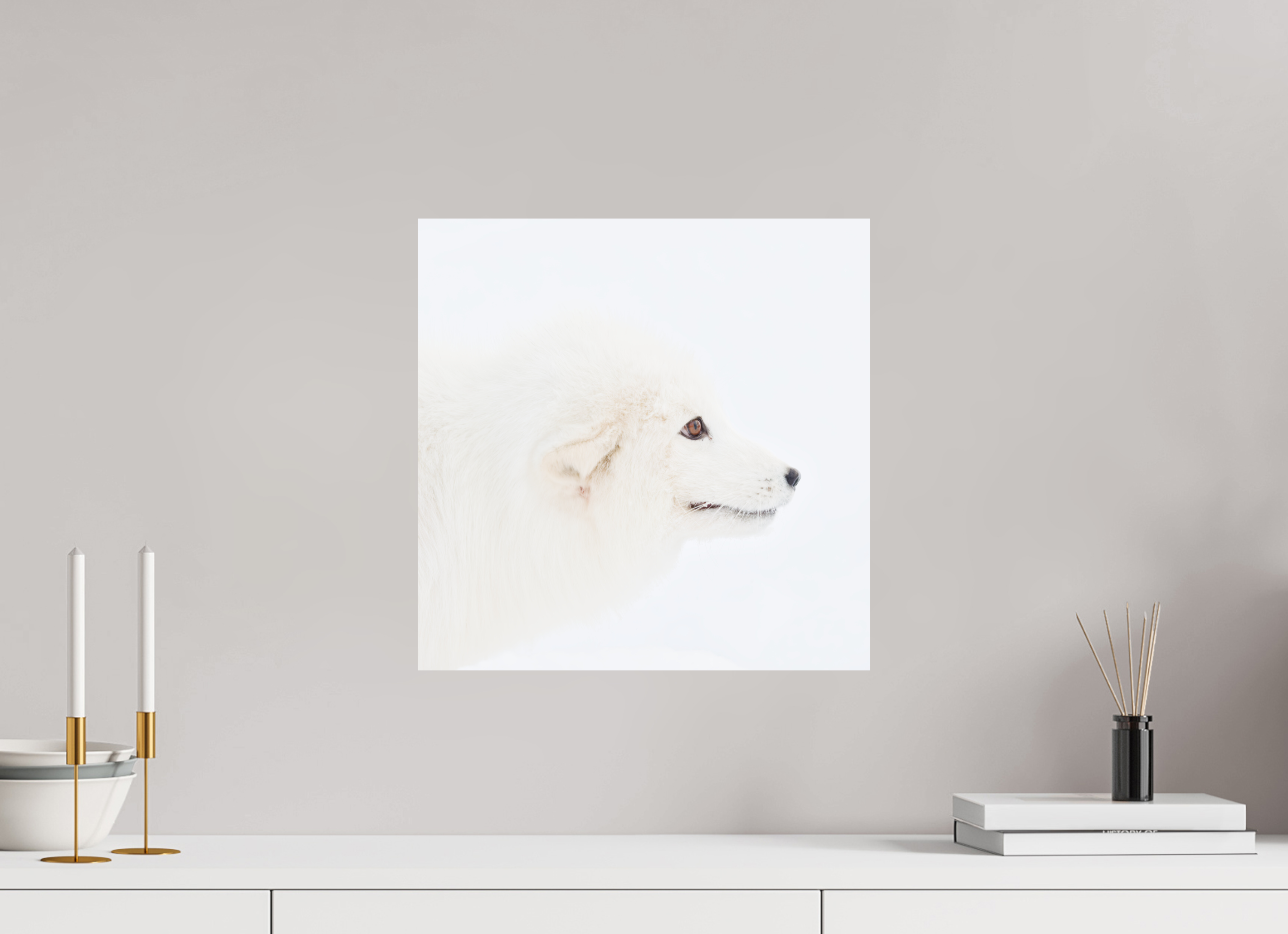 40 x 40 cm, Photo Print On Fuji Crystal DP II Arctic Fox Head - Photo Print