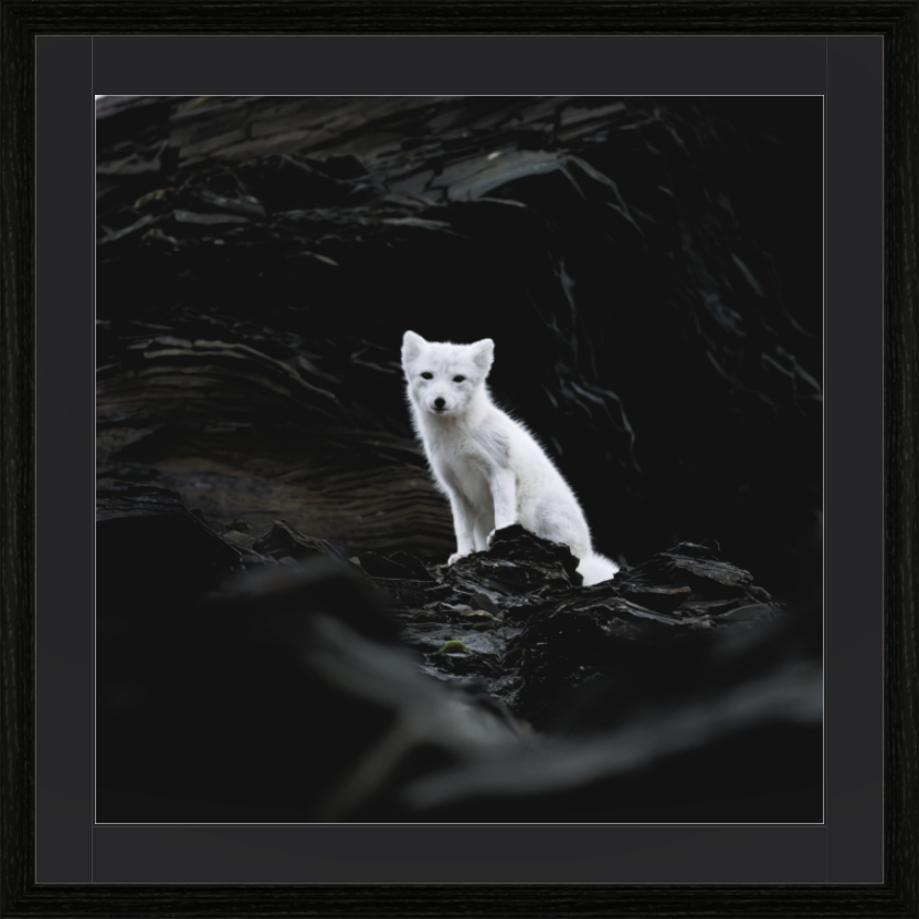 Main image Arctiv Fox Angel -Solid Frame With Passe-Partout