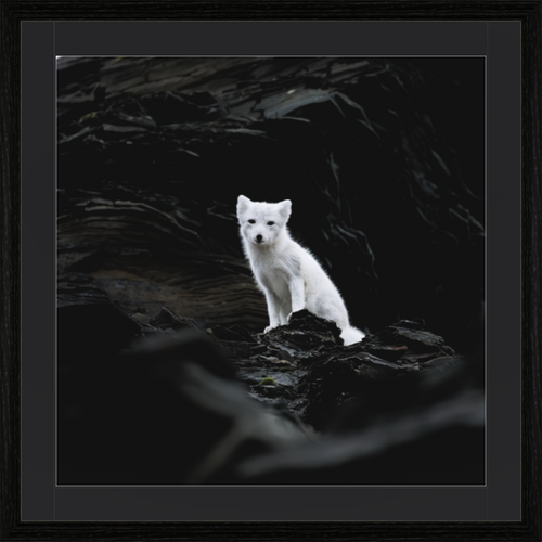 Main image Arctiv Fox Angel -Solid Frame With Passe-Partout