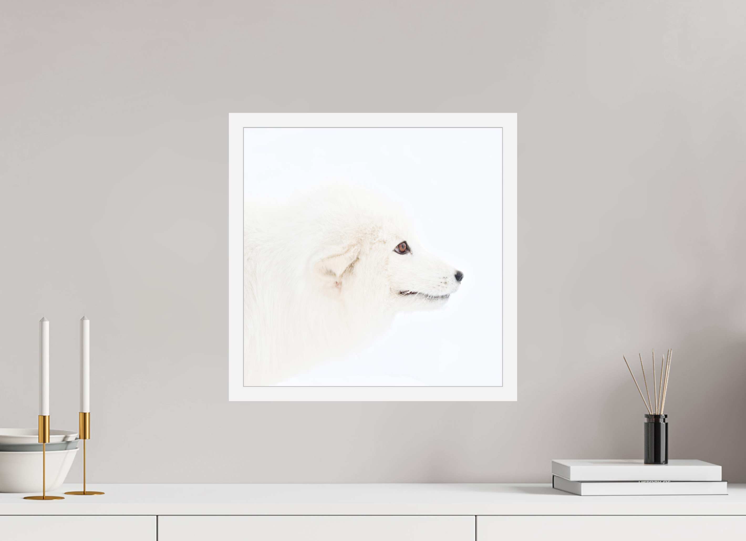 40 x 40 cm, Gallery Frame Hamburg 20mm White Matte Acrylic Arctic Fox Head - In Gallery Frame Hamburg 20 mm