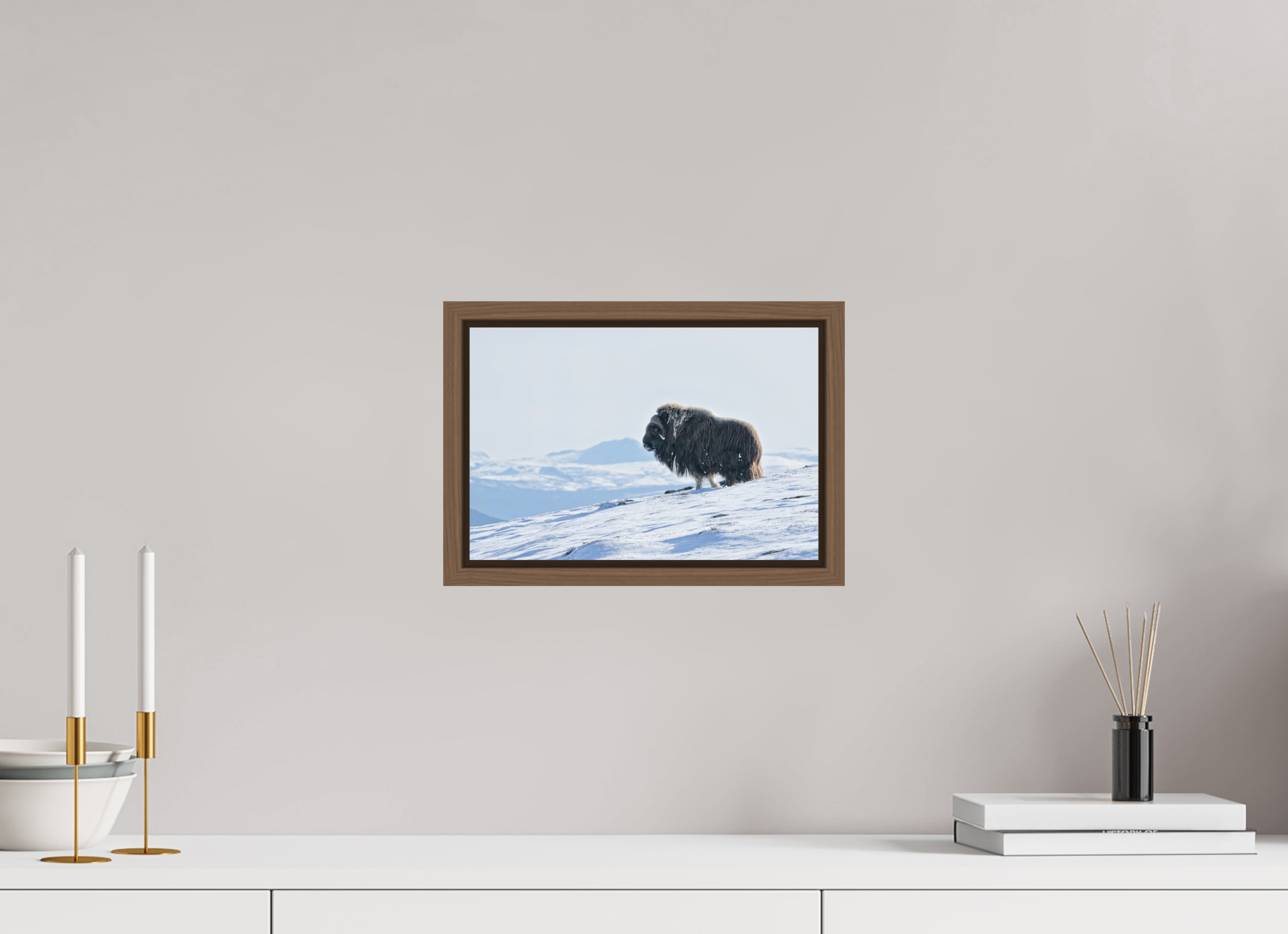 30 x 20 cm, Floater Frame Walnut Matte Acrylic Glass The Musk Ox Kingdom - Floater Frame Matte Acrylic