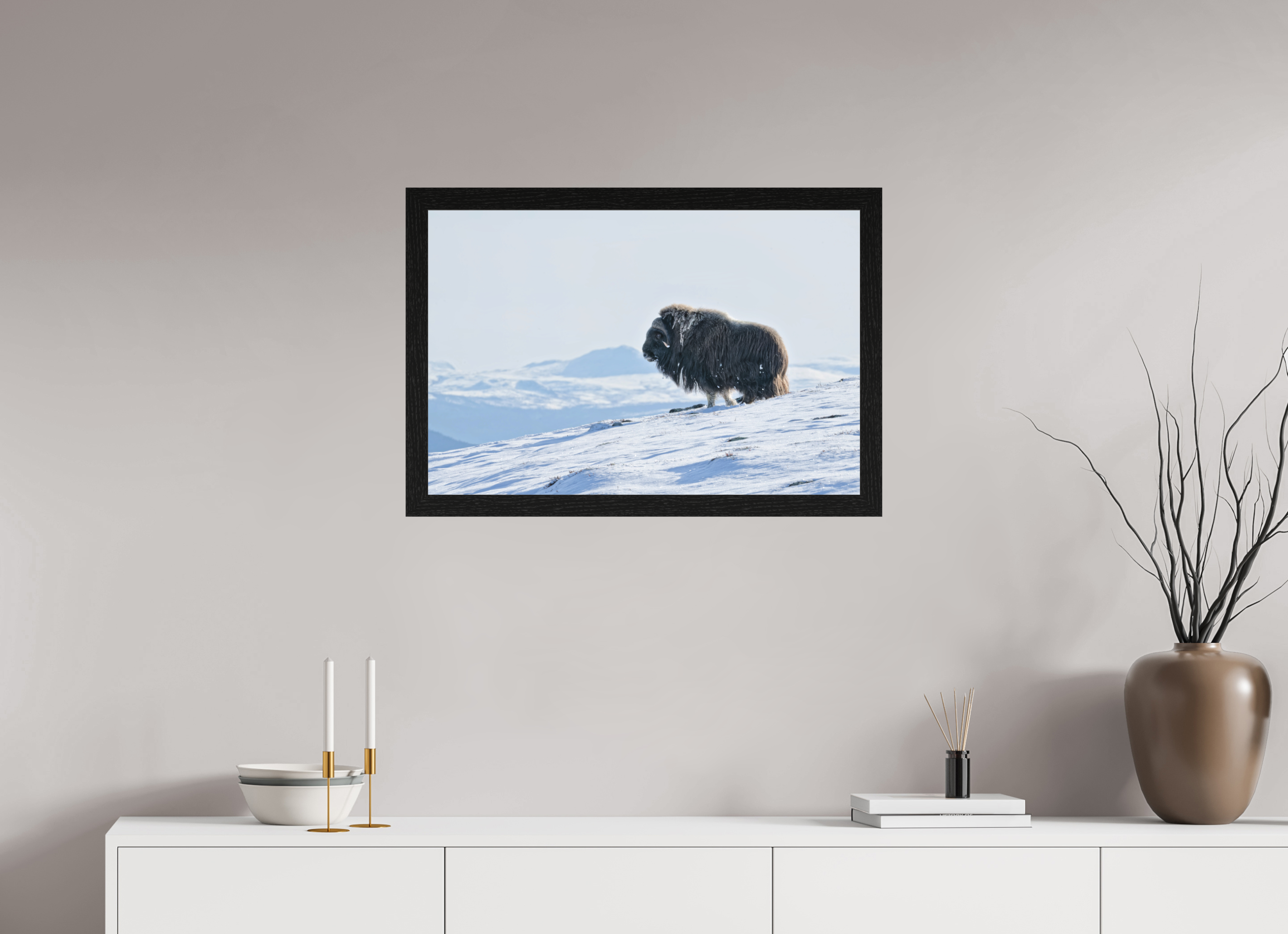 75 x 50 cm, Gallery Frame Hamburg 40mm Black Oak Matte Acrylic The Musk Ox Kingdom - In Solid 40 mm Wood Frame Hamburg Glossy Acrylic